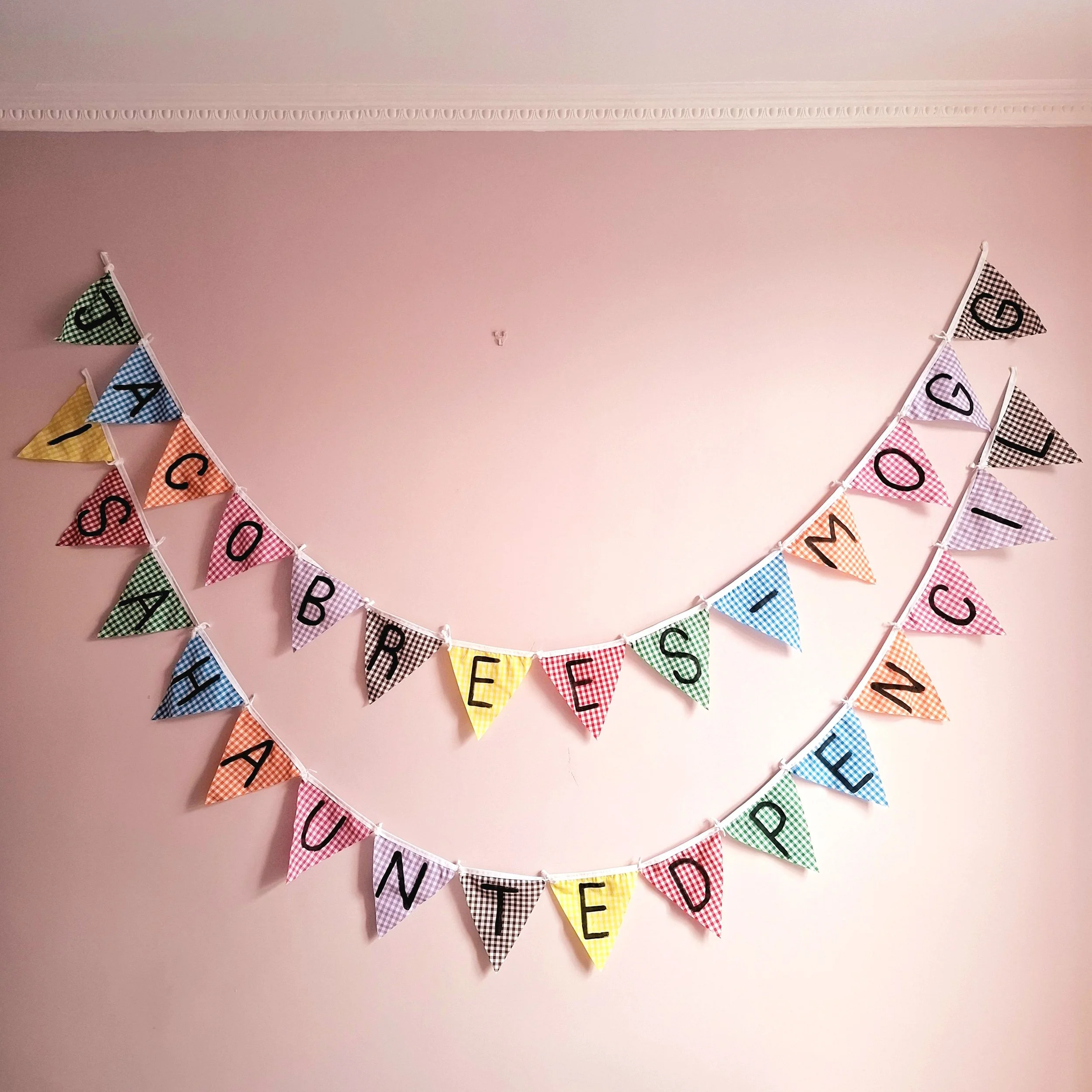 jacob rees mogg bunting.jpg