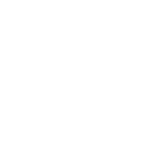 Kevin Murphy logo white