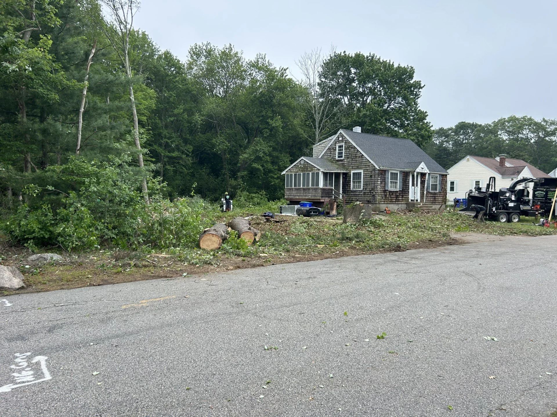 Rescue or utility workers repairing storm damage outside a house, with fallen trees and cut logs on the ground, and equipment nearby.