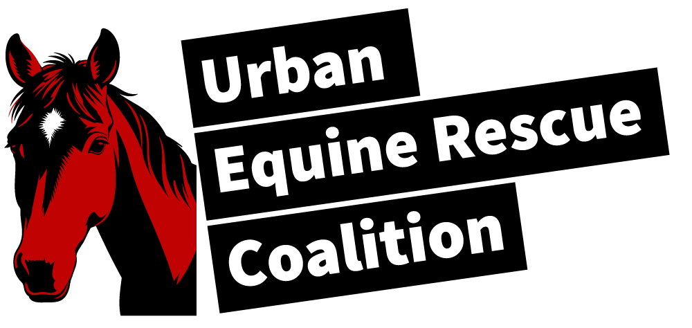 Urban Equine Rescue Coalition 