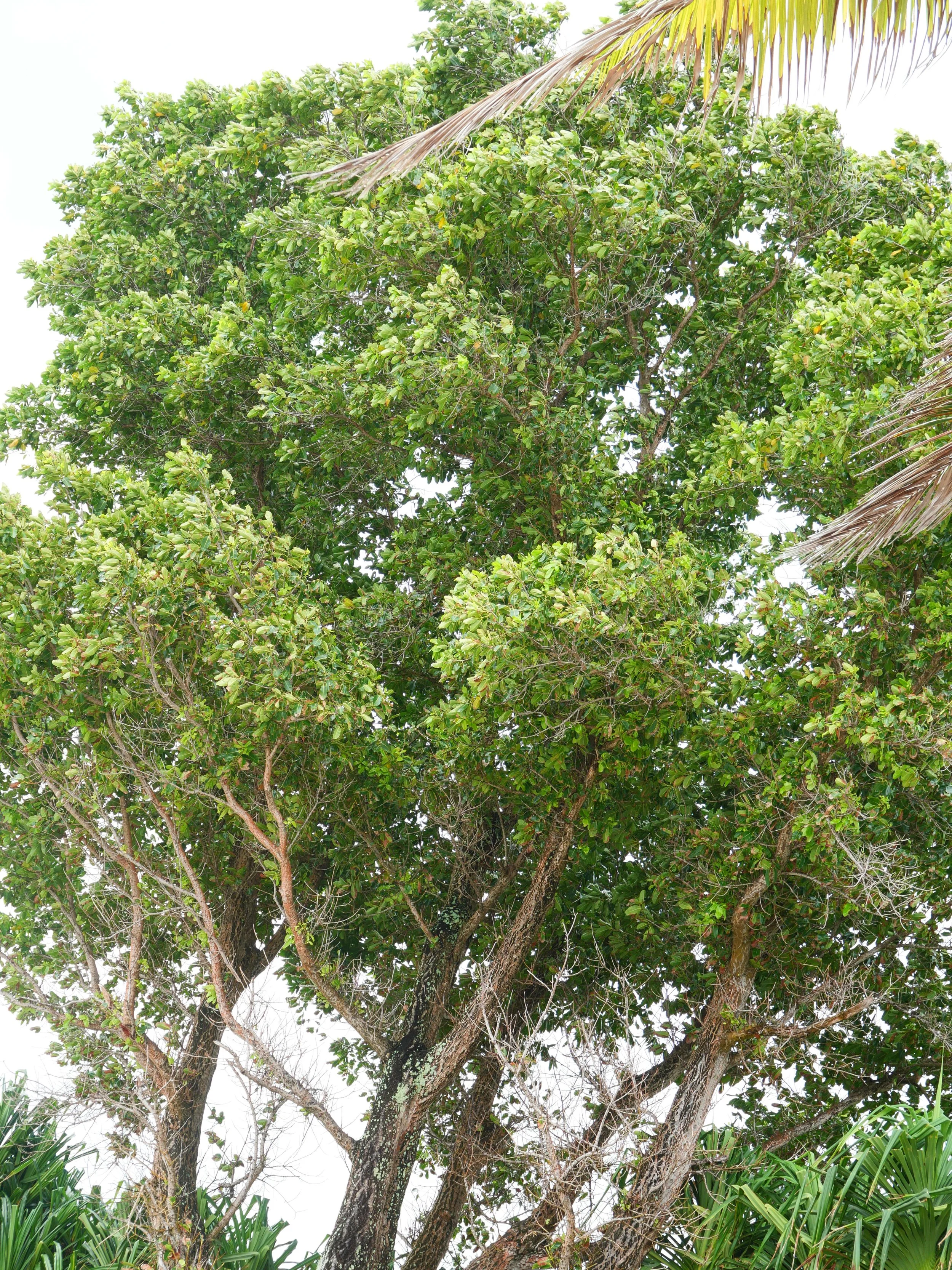 The Shared Ground Project Tuvalu