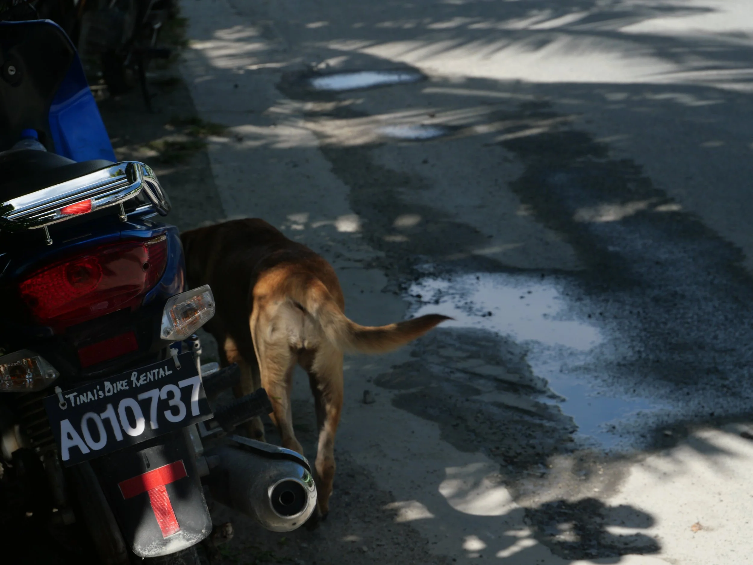 The Shared Ground Project Tuvalu
