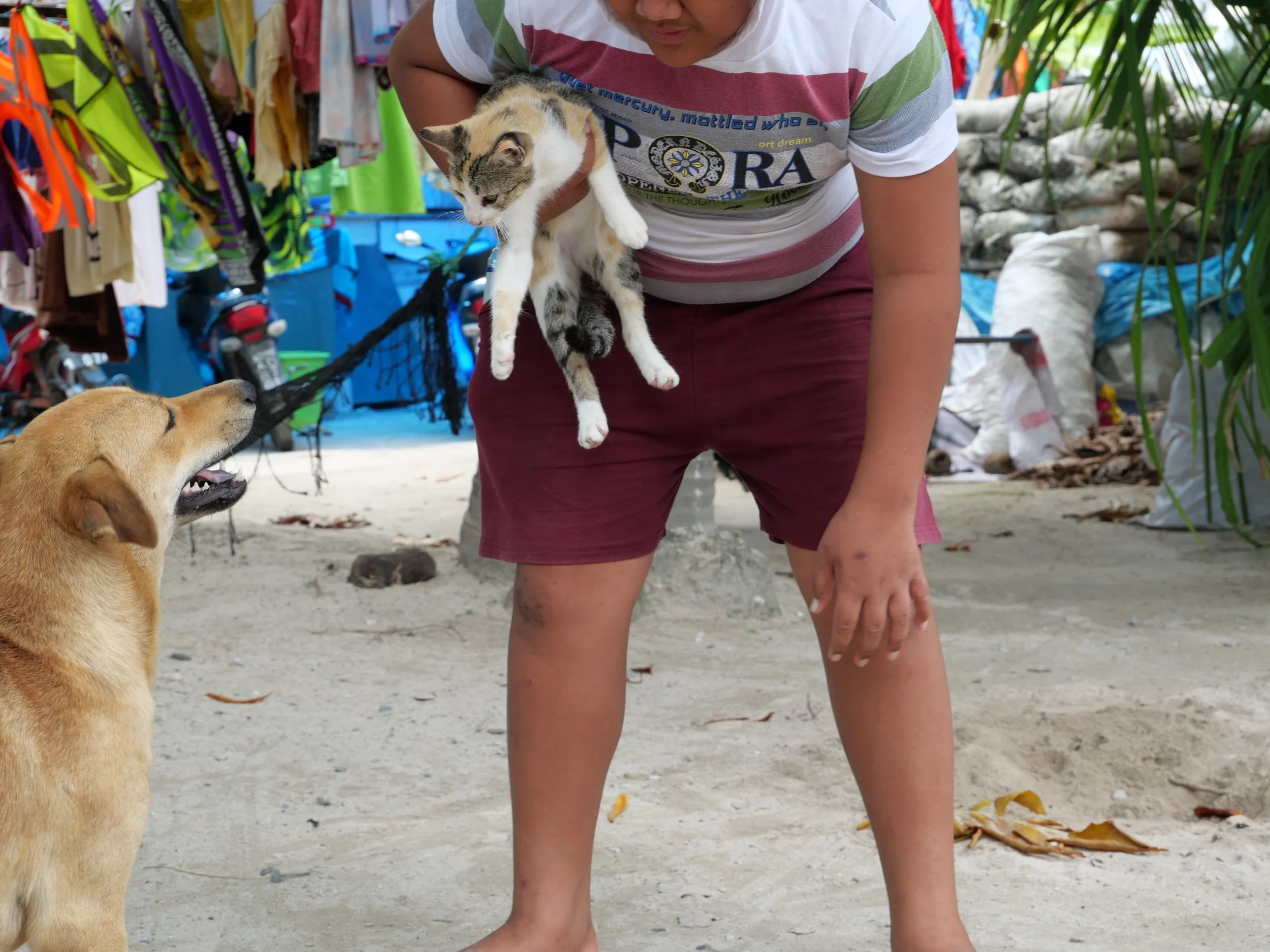 The Shared Ground Project Tuvalu