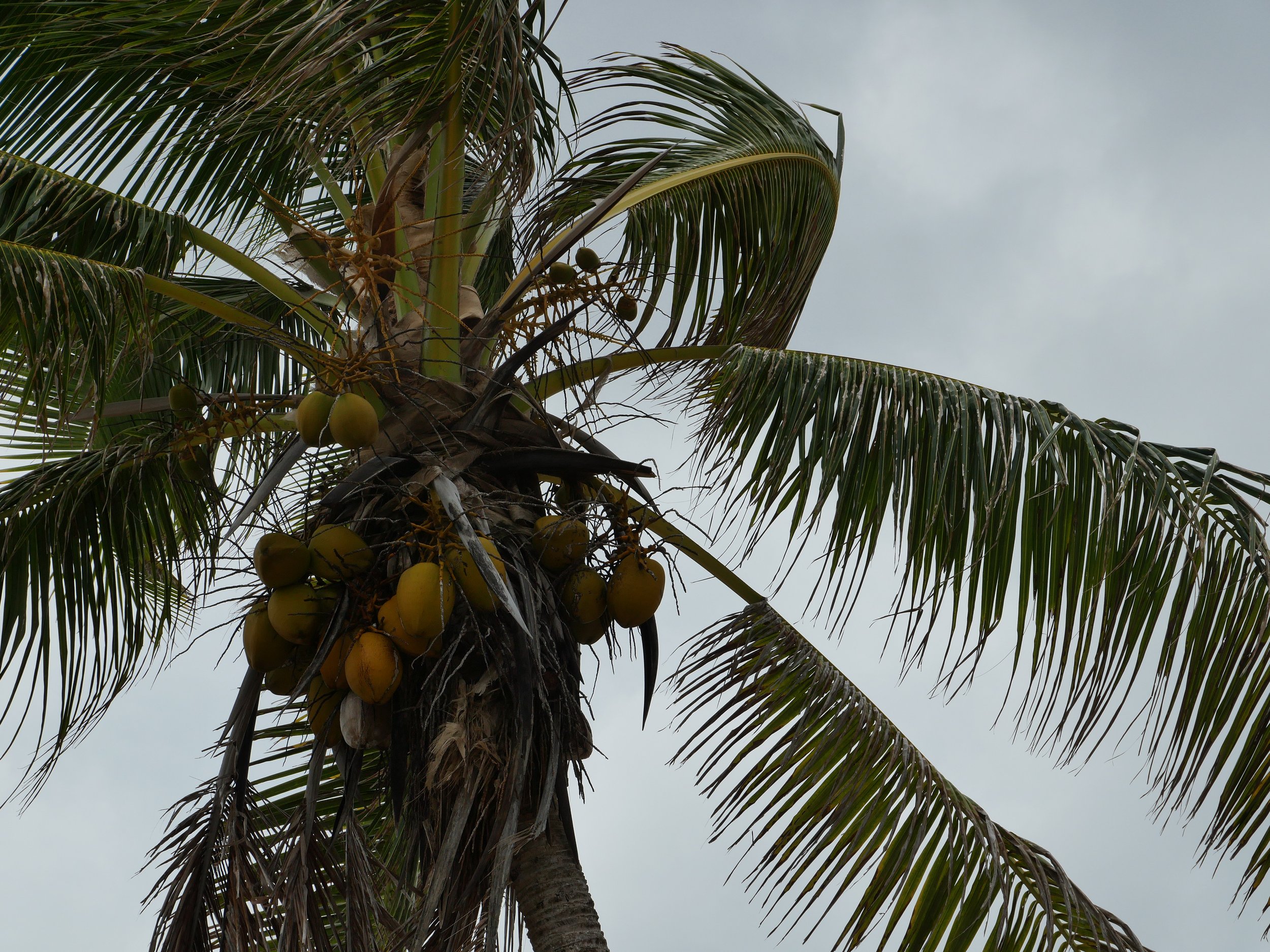 The Shared Ground Project Tuvalu