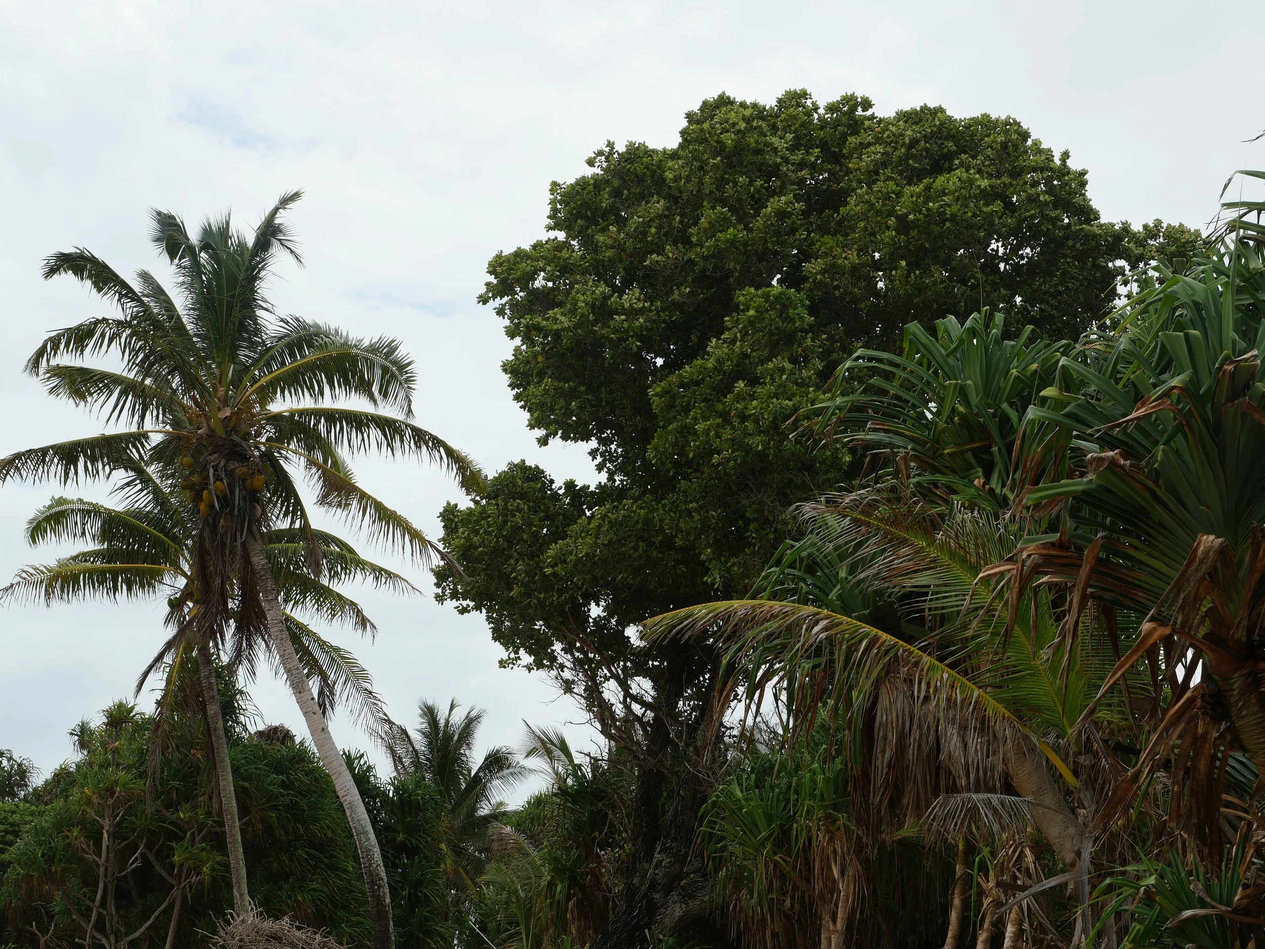 The Shared Ground Project Tuvalu
