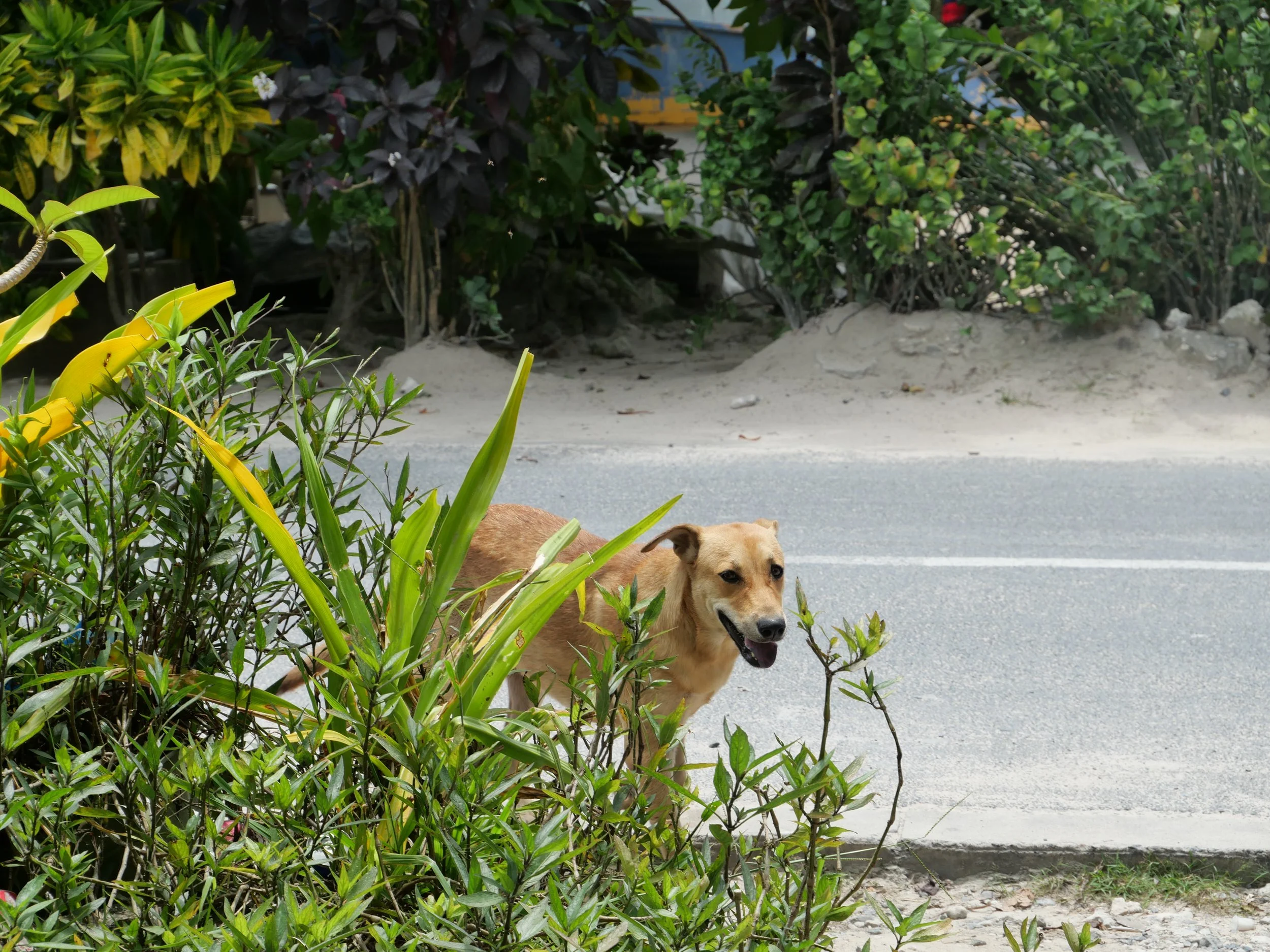 The Shared Ground Project Tuvalu