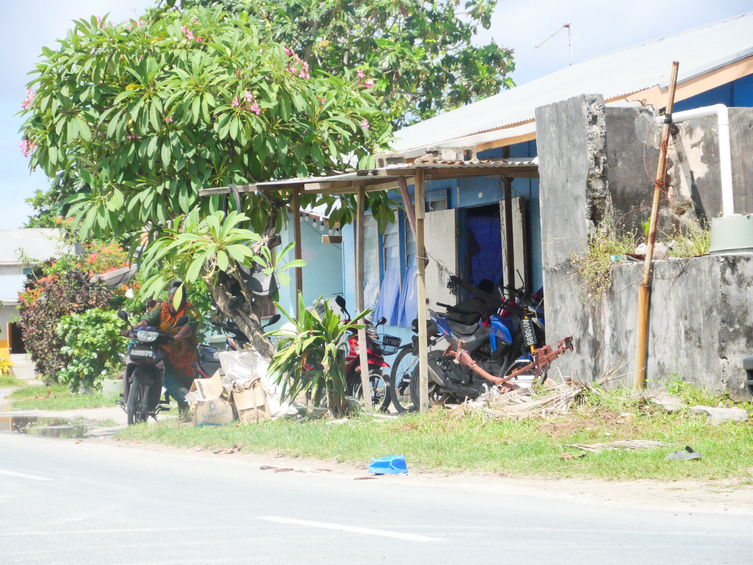 A street-side scene featuring a house with a blue exterior, motorcycles parked outside, a large leafy tree with pink flowers, and various household items and debris around the property.
