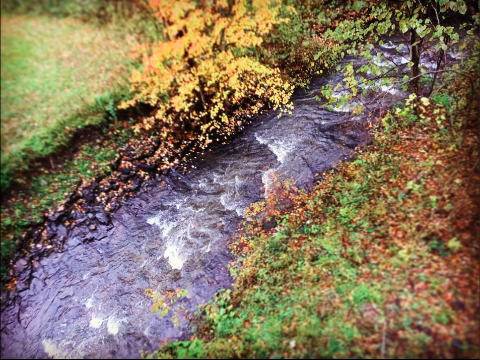 SUNY Poly Old Bridge - Utica, NY