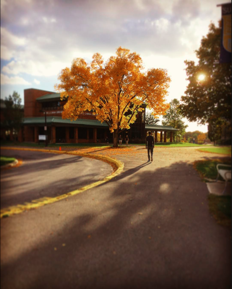 SUNY Poly Cayan Library - Utica, NY