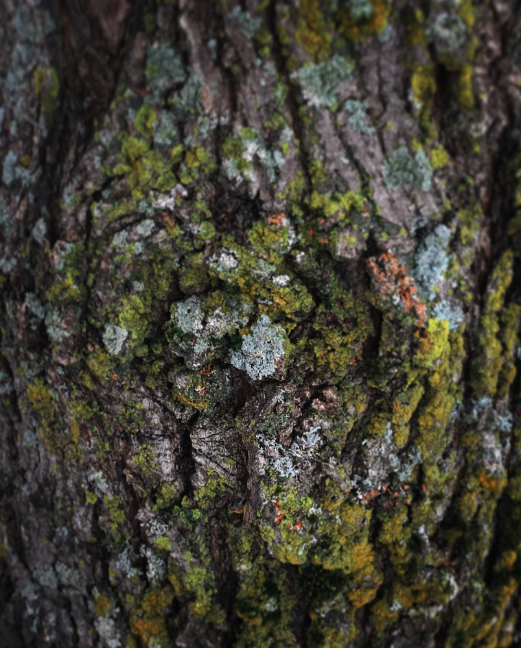 Schuyler Town Park - Schuyler, NY