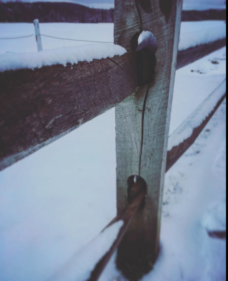 Schuyler Town Park - Schuyler, NY