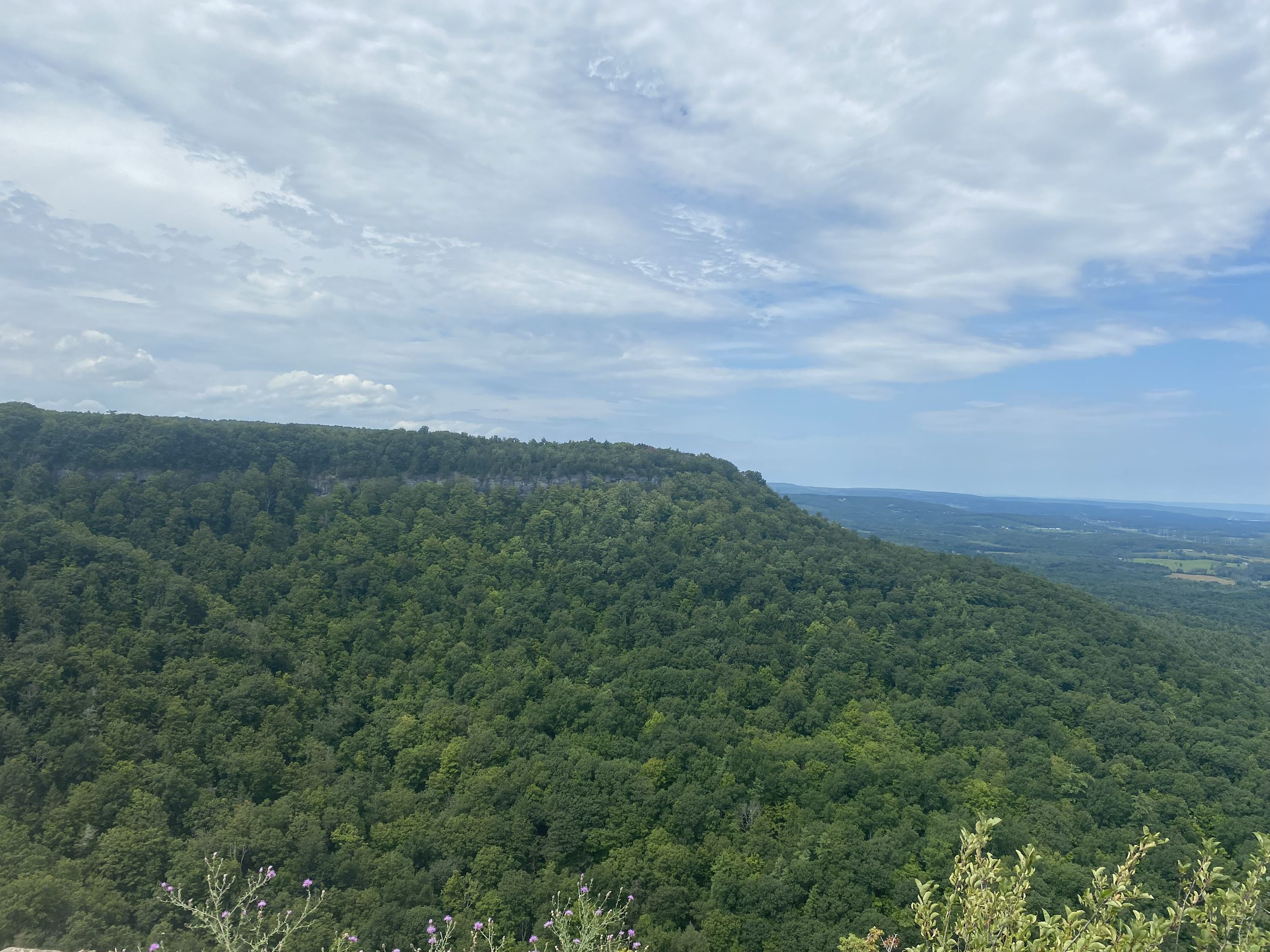 Thacher State Park - Voorheesville, NY