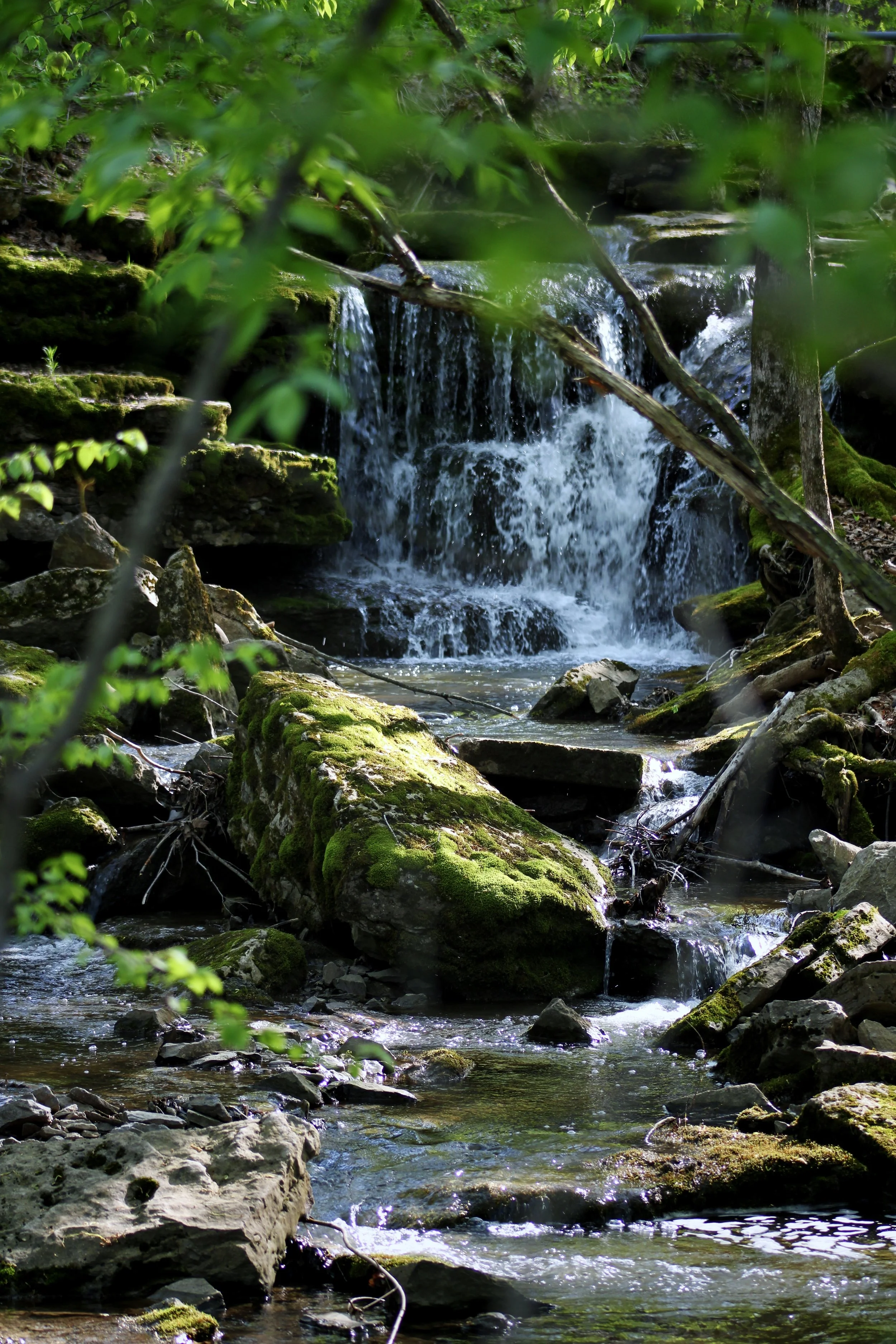 Chittenango Falls - Chittenango, NY
