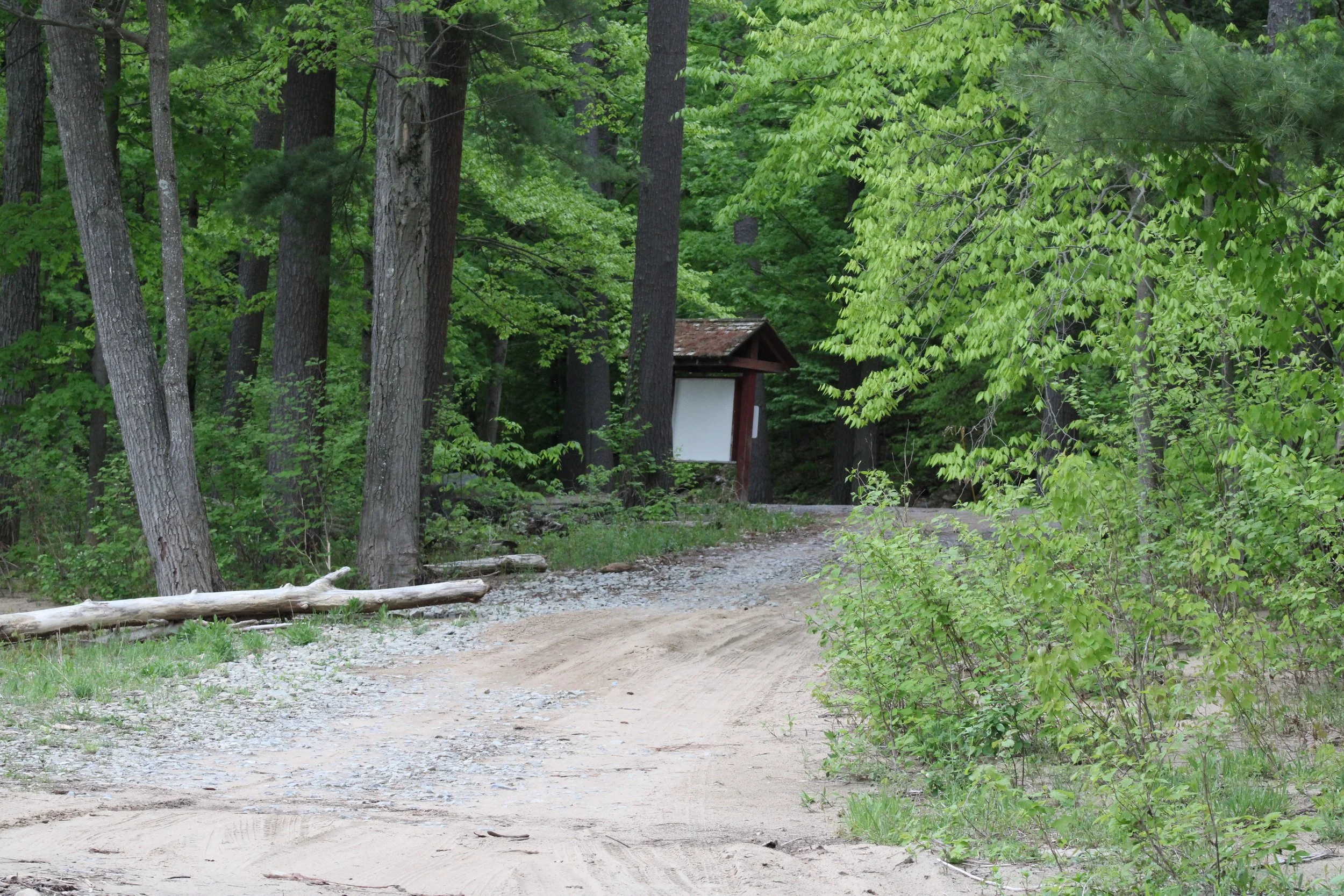 Lyons Falls Waterfall - Lyons Falls, NY