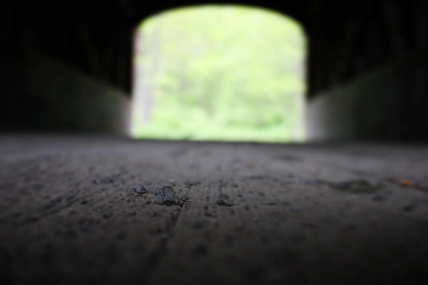 Hyde Hall - Cooperstown, NY