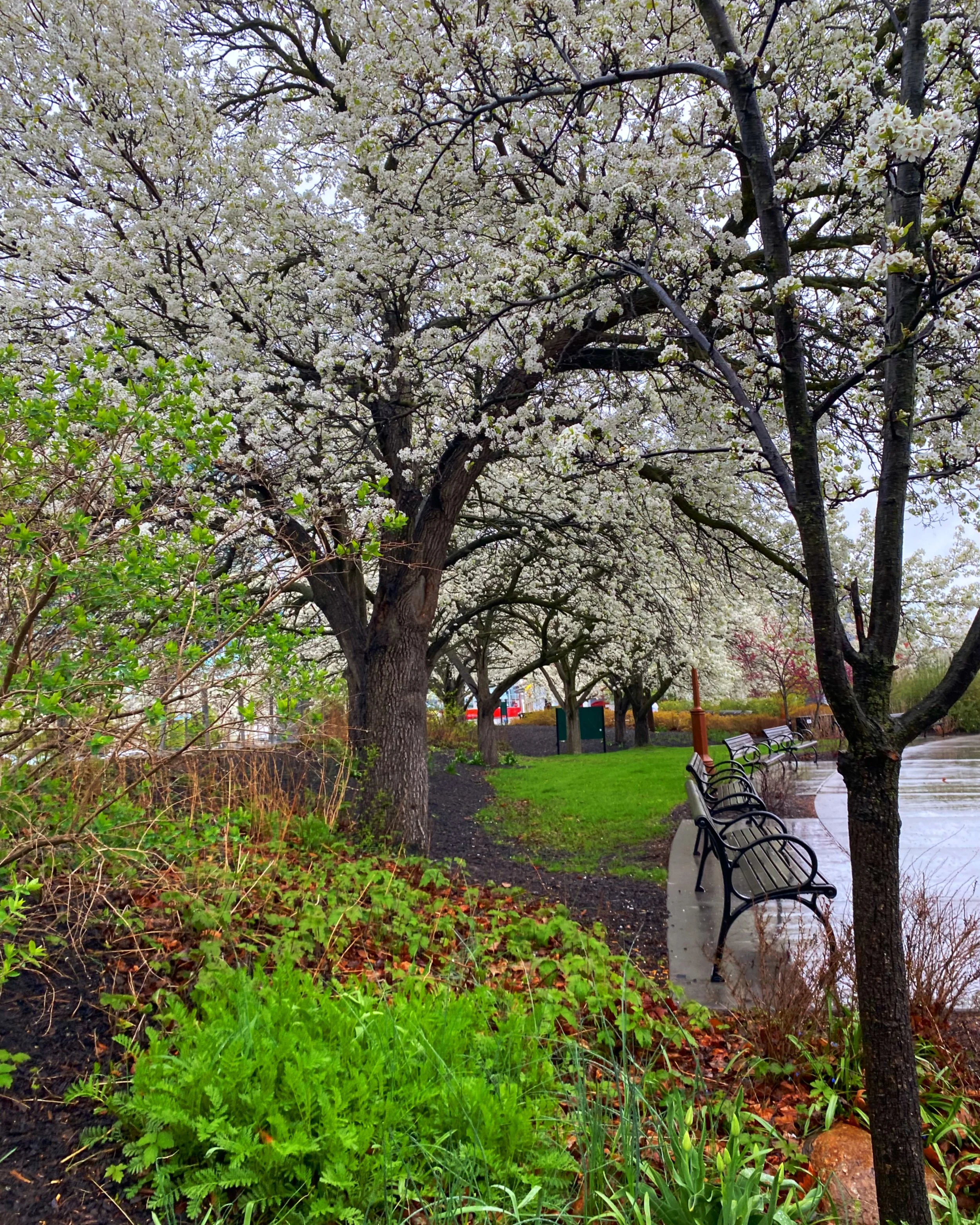 Niagara Falls - Buffalo, NY