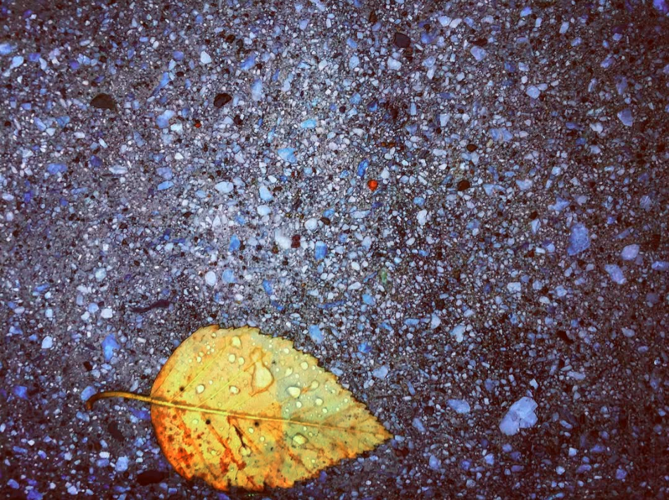 SUNY Poly - Utica, NY