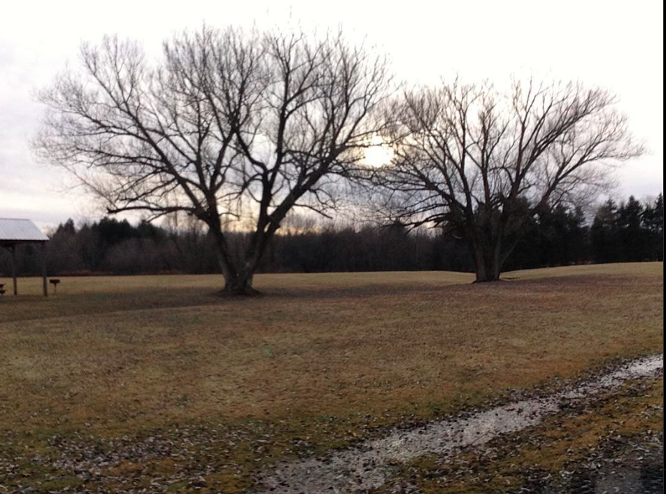 Schuyler Town Park - Schuyler, NY