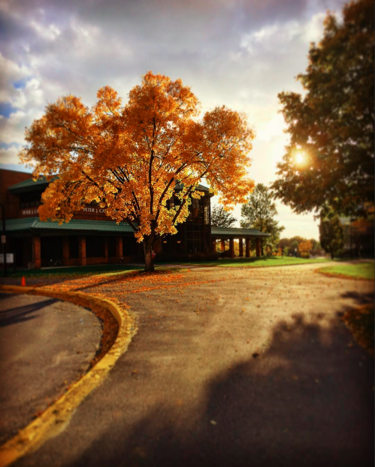 SUNY Poly Cayan Library - Utica, NY