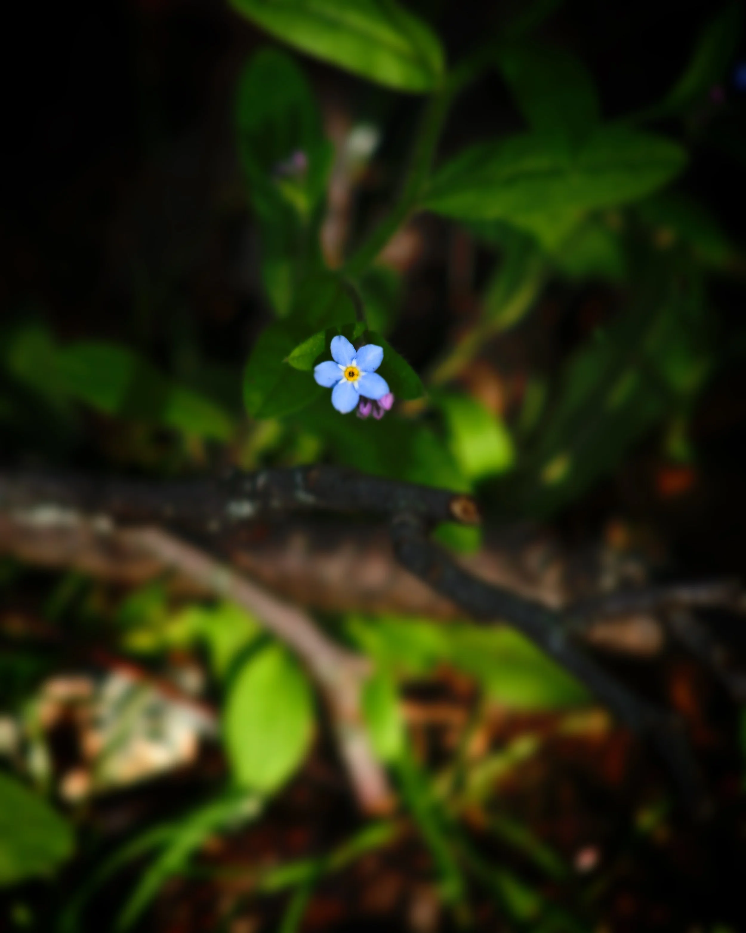 CFEF3B96-9E60-4F74-A5ED-ECFF17B36EE5 2.JPG