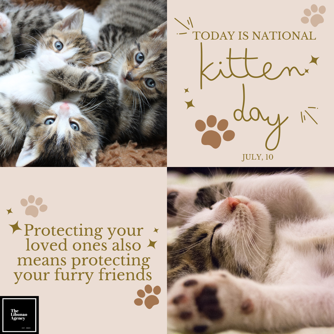 National Kitten Day.png