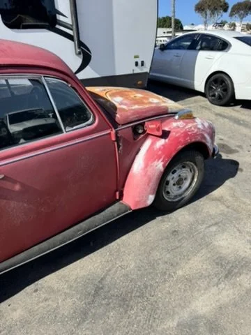 NEW - 1971 Volkswagen Beetle