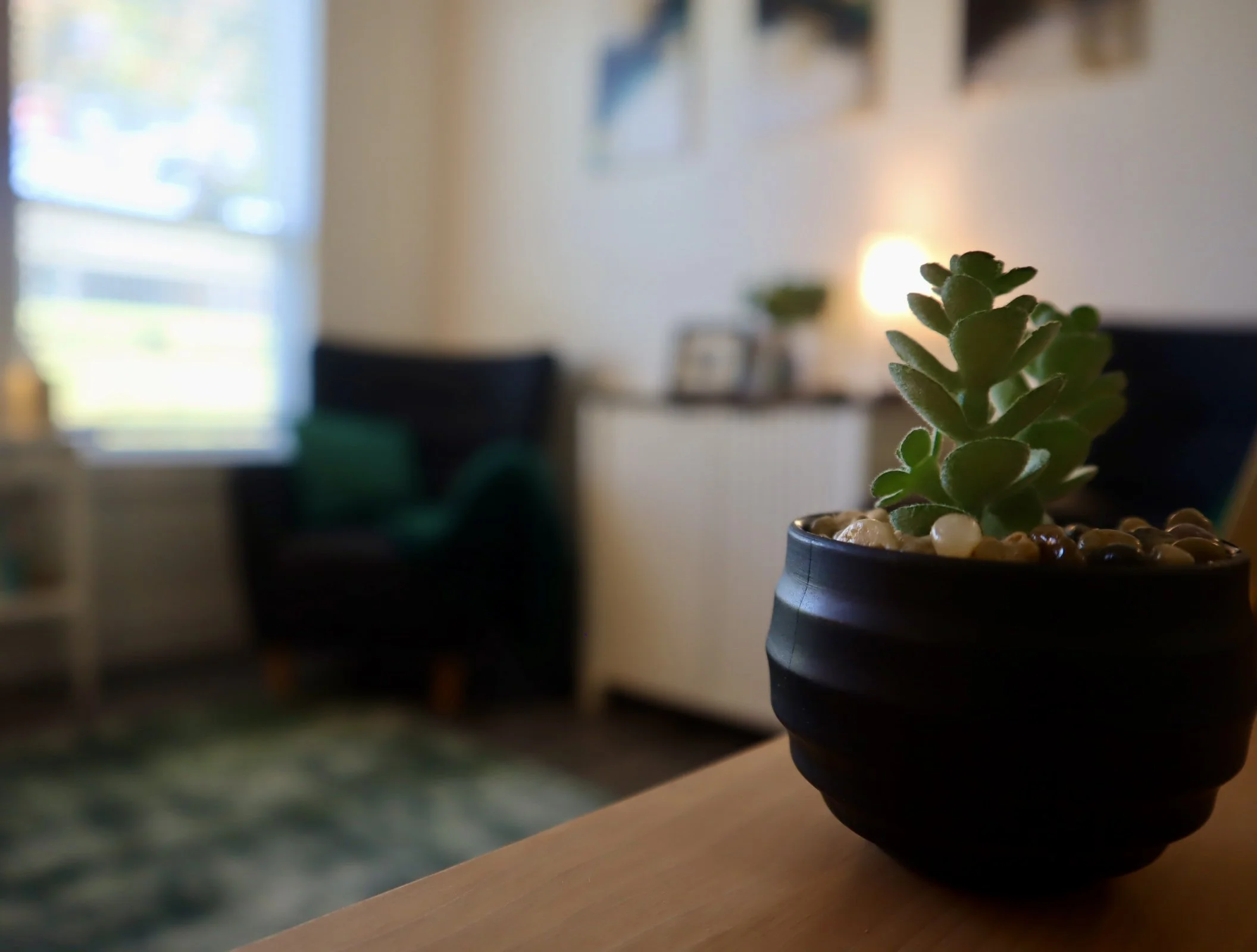Close-up of a potted succulent plant on a wooden surface in a living room, with blurred background including a window, a black armchair, and a sideboard.