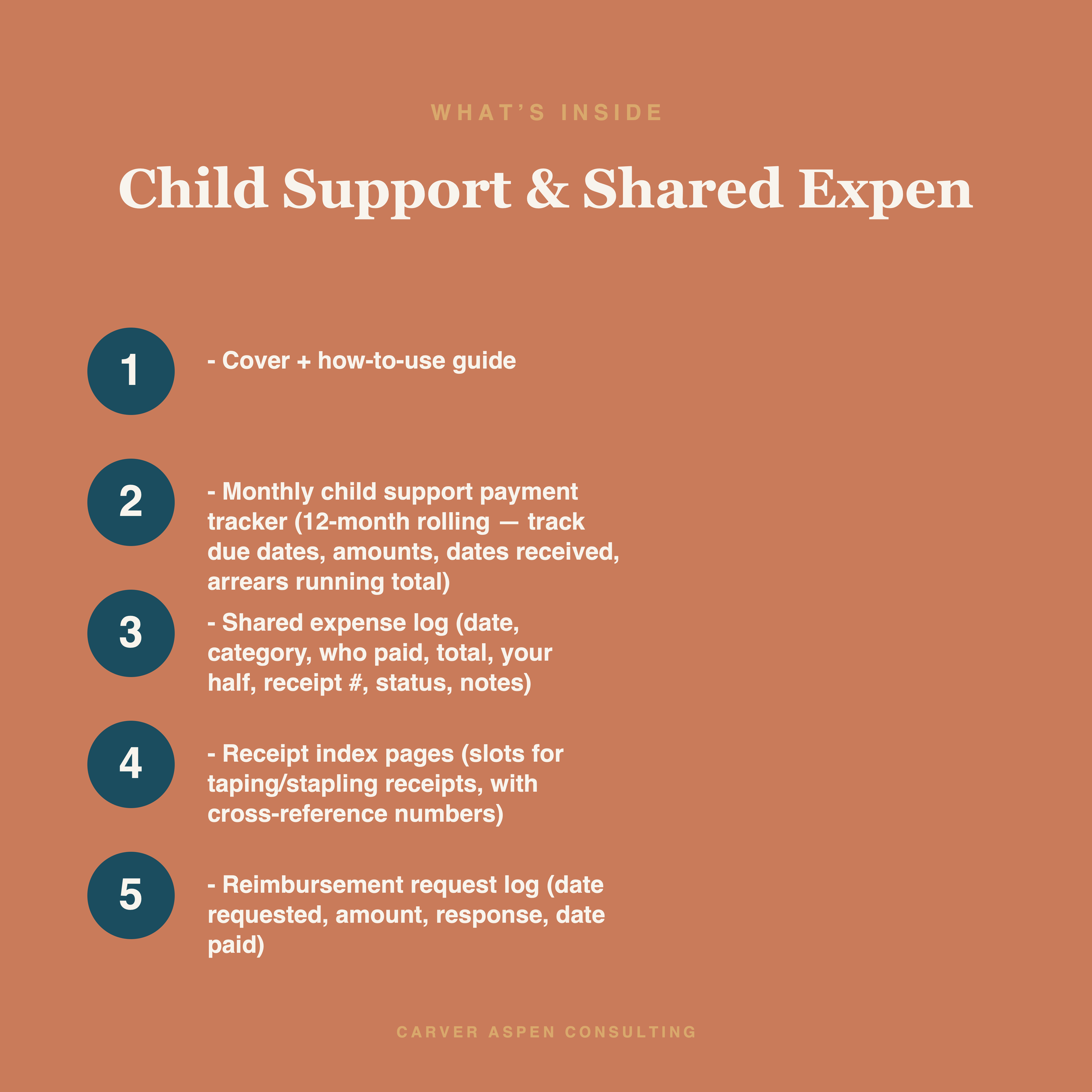 Child Support & Shared Expense Tracker