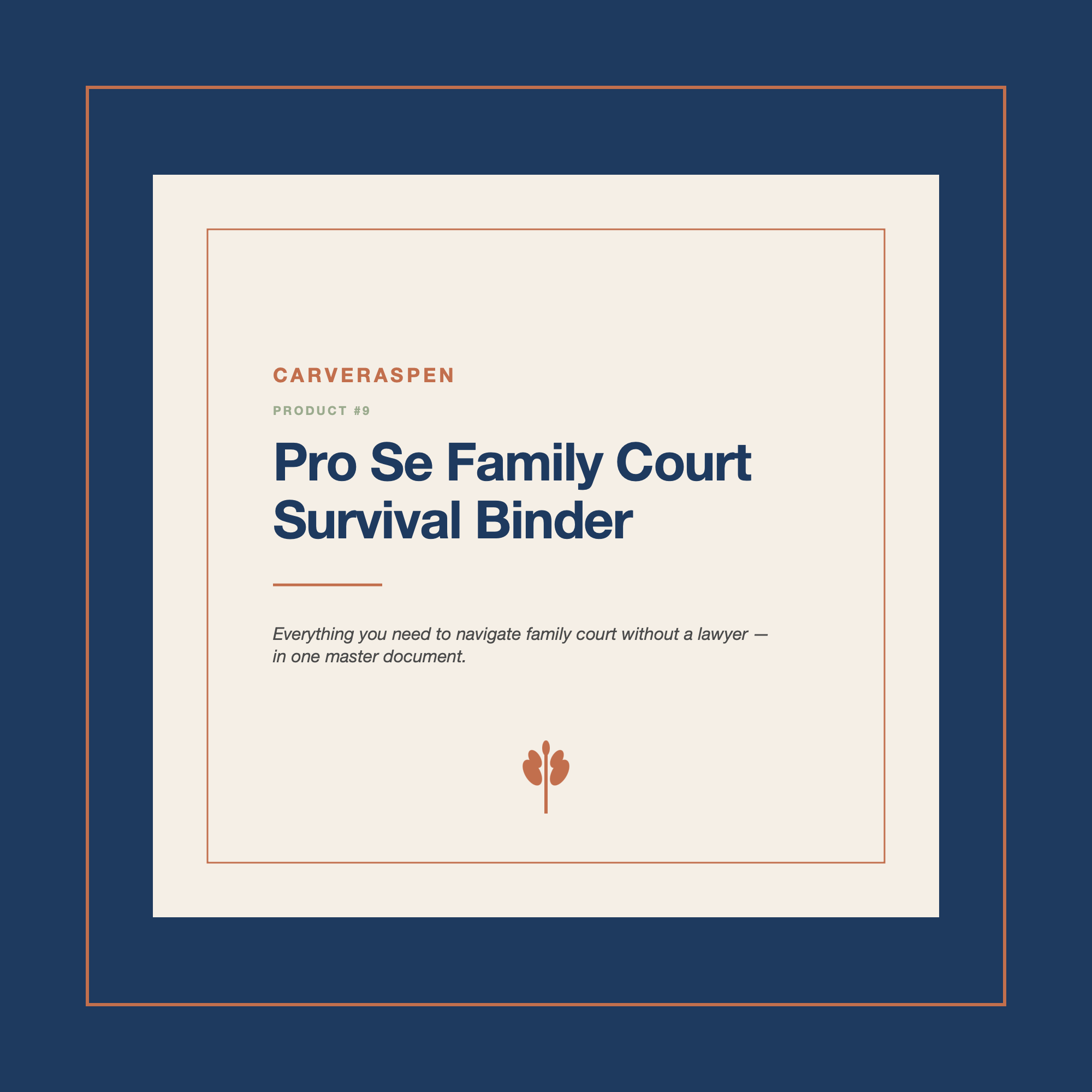 Pro Se Family Court Survival Binder