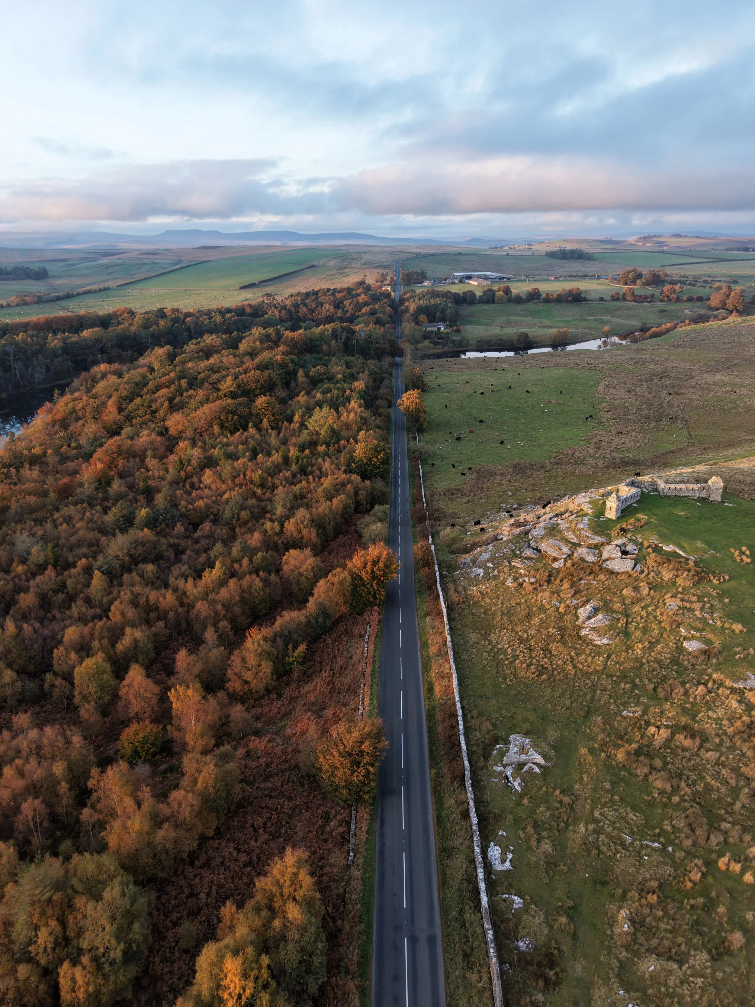 An aerial view of a long straight road dividing a forest on the left with trees showing fall colors and open grassy fields on the right with scattered rocks and small ponds, under a partly cloudy sky.