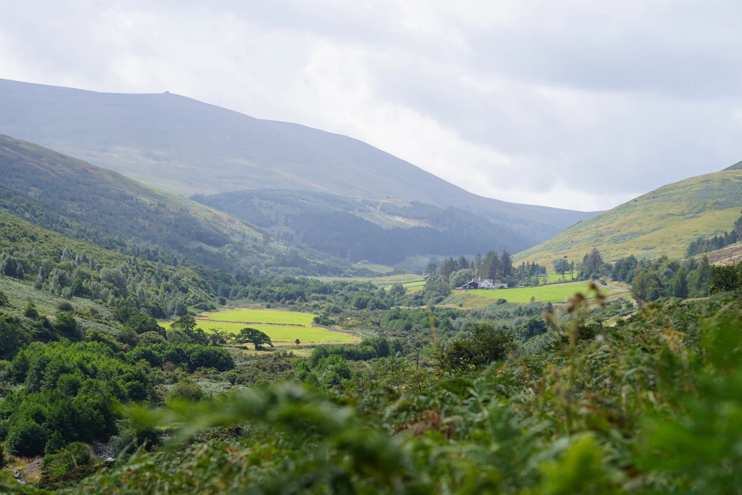 Lush green valley with scattered trees, small buildings, and rolling hills under a partly cloudy sky.