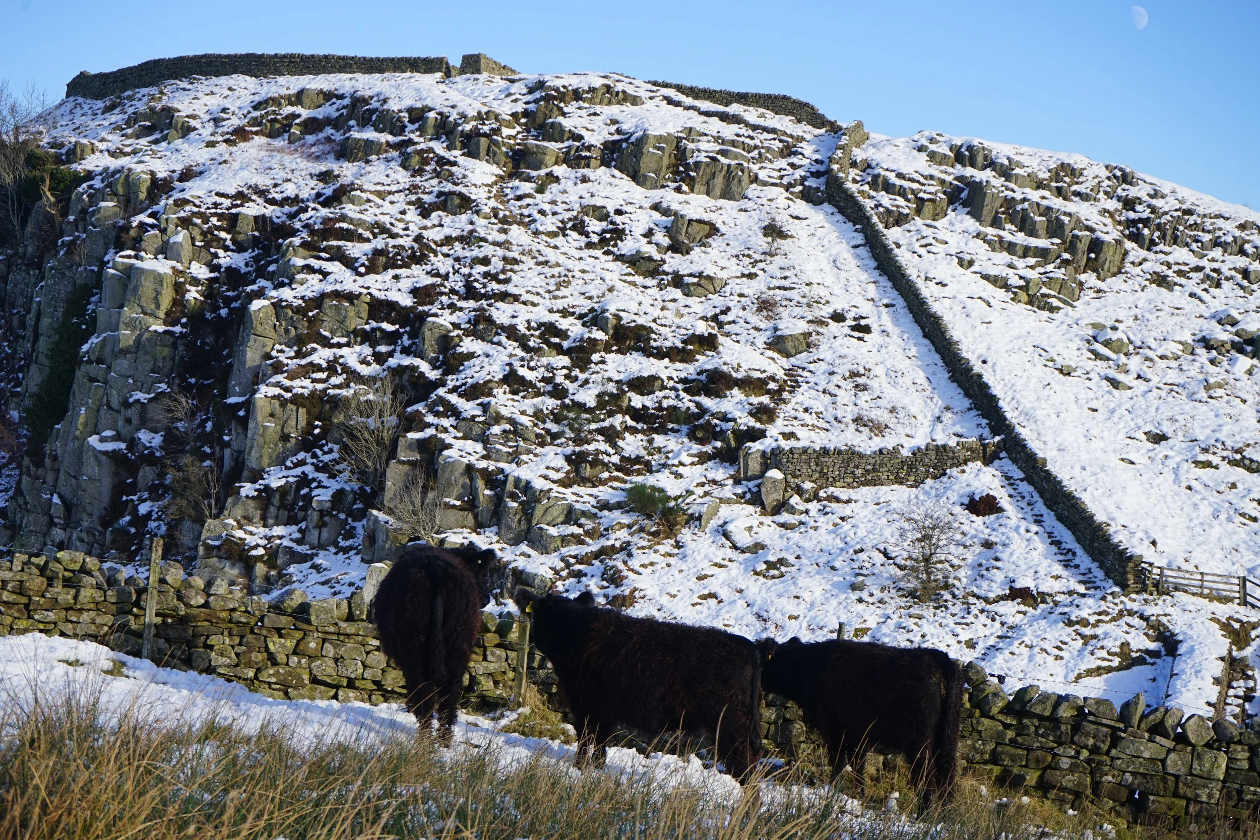 Hadrian's Wall - peel crags (6).JPG