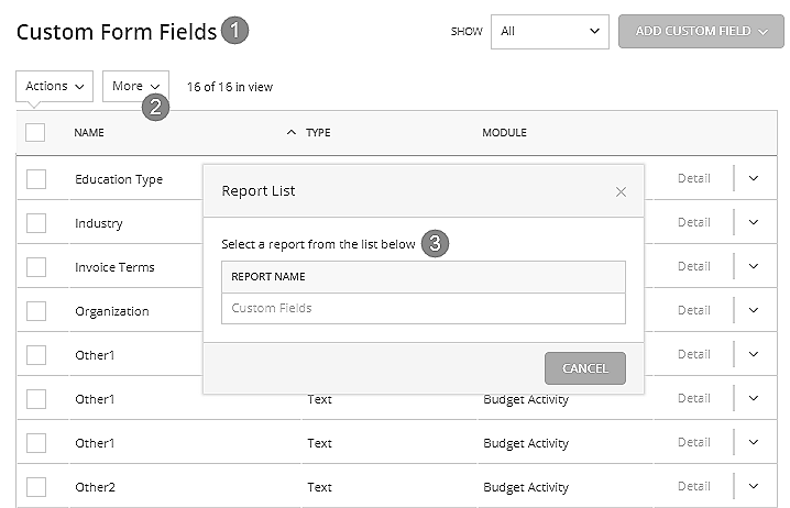 custom+form+fields+reports.png