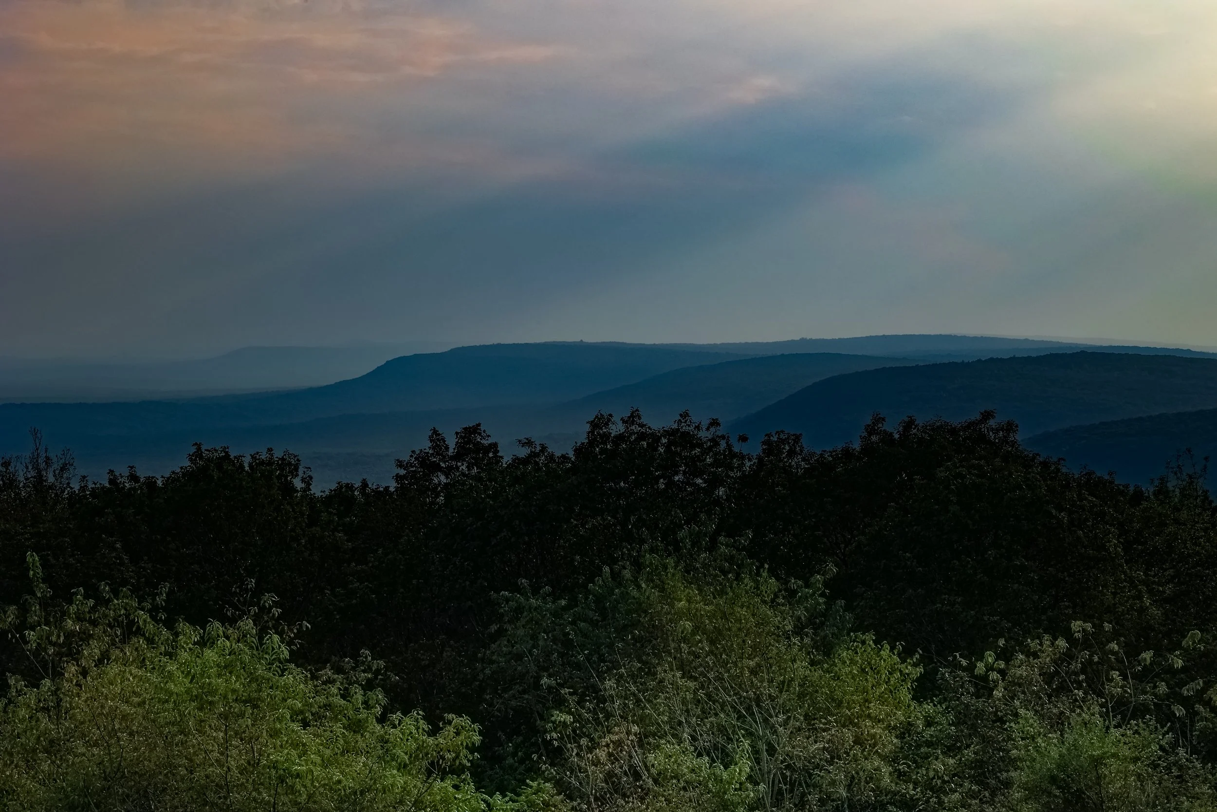 4H8A1722 (1) (1).jpg