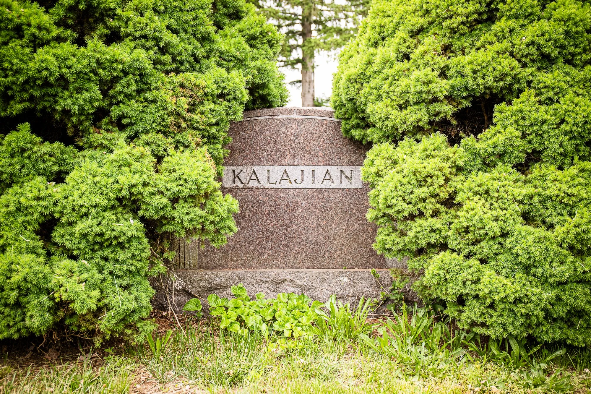 Hannah Kalajian