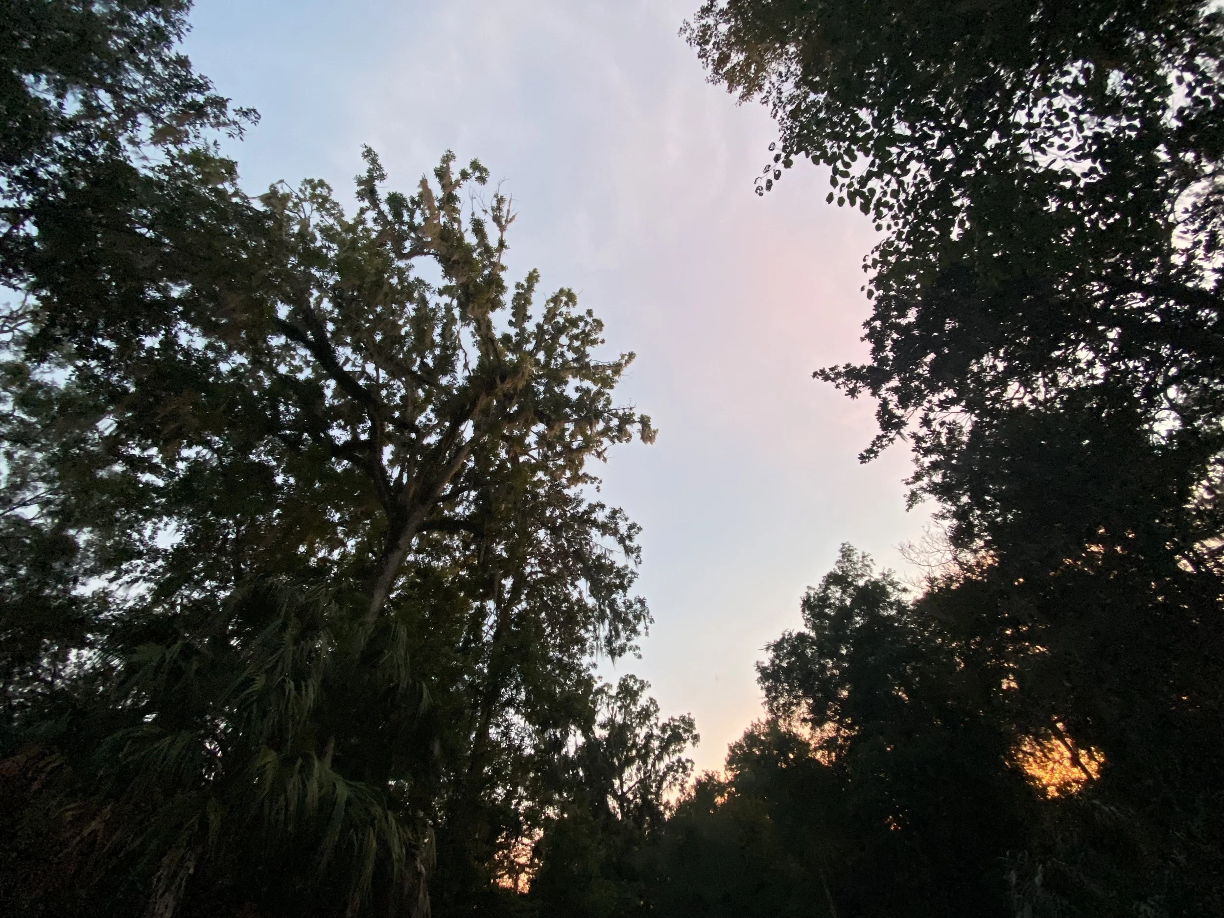Sleep Meditation