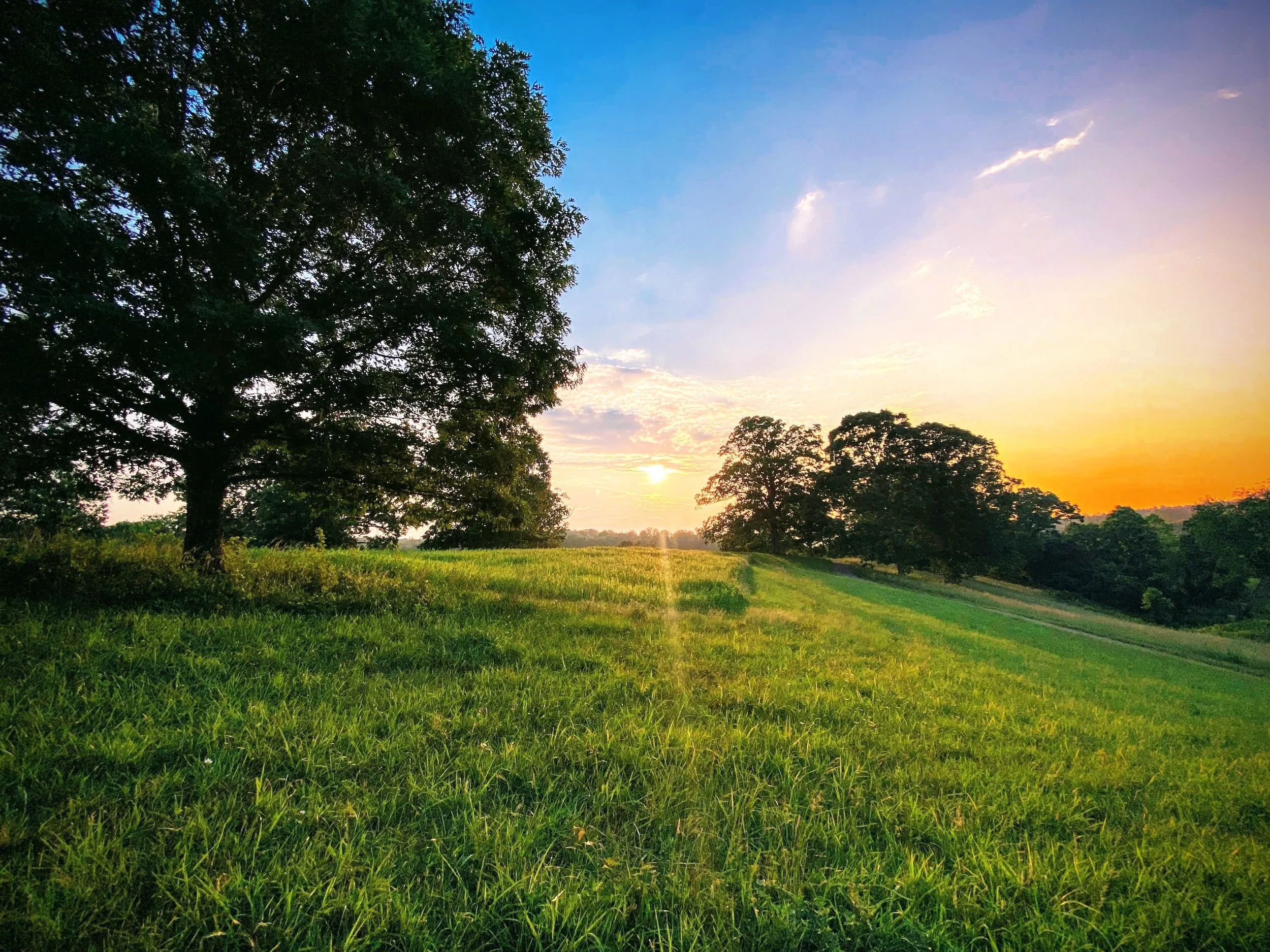 IMG_5580 Copy Copy-EFFECTS.jpg