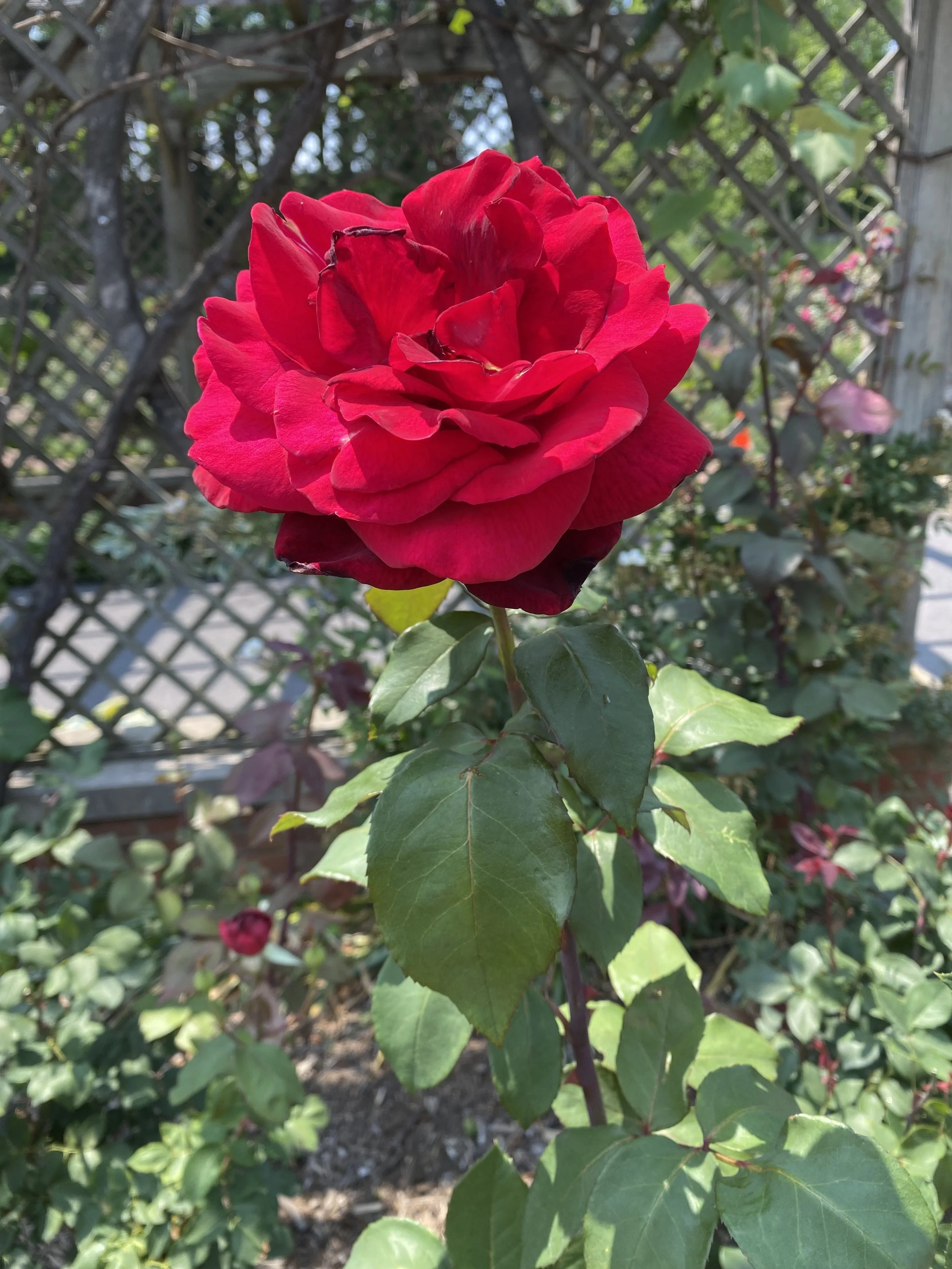 Community Sanctuary  |  2/22 @ 6pm ET