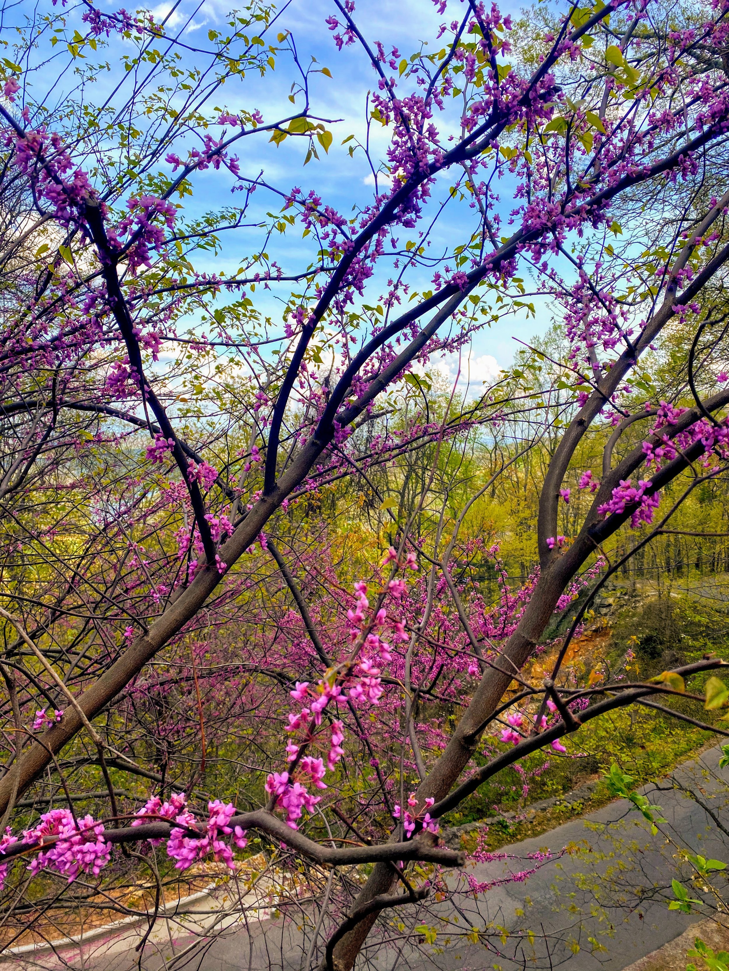 Personal Sanctuary: One-on-One