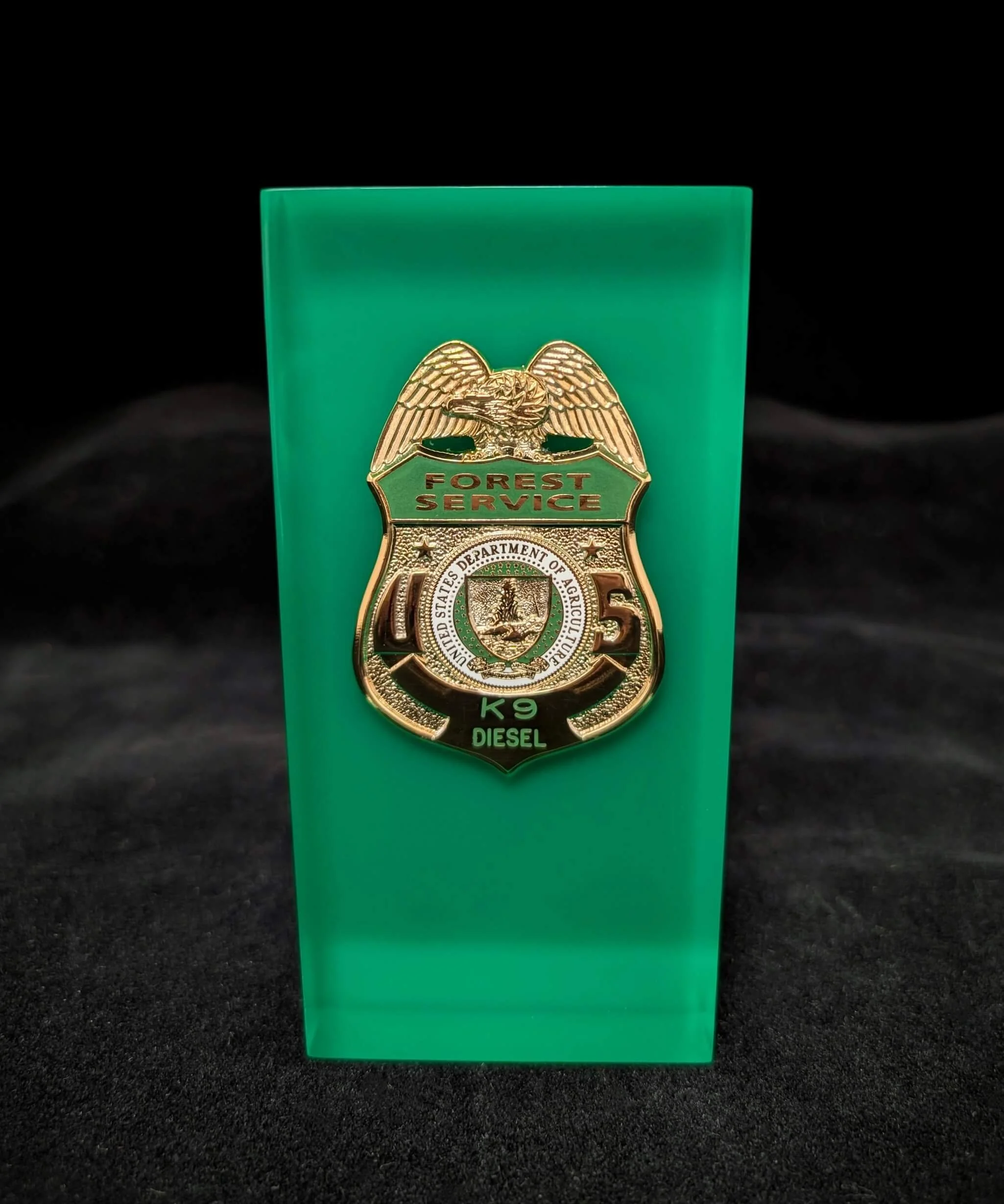 hs100-badge-embedment-service-lucite-acylic-front.jpg