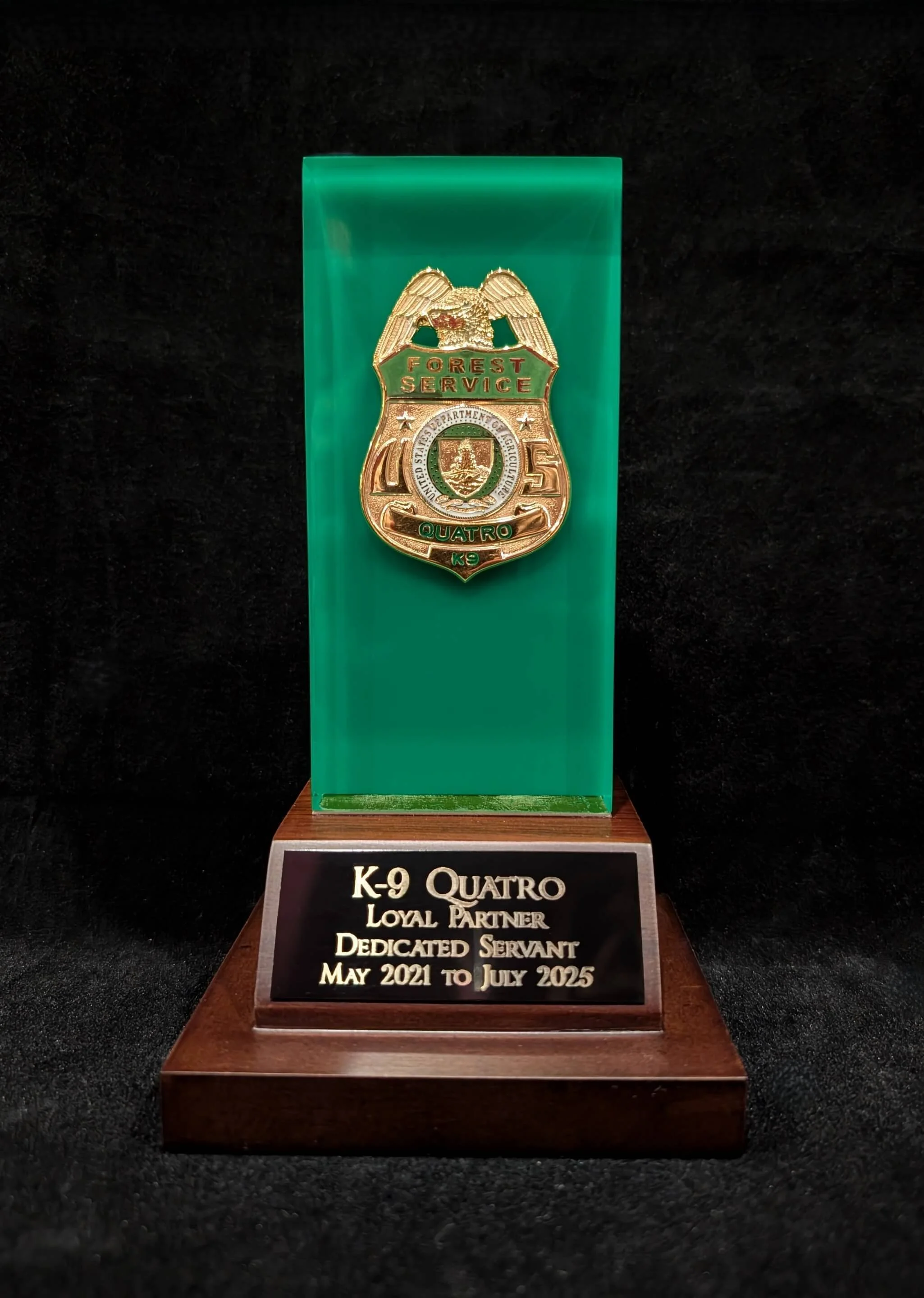 Lucite Embedment Award