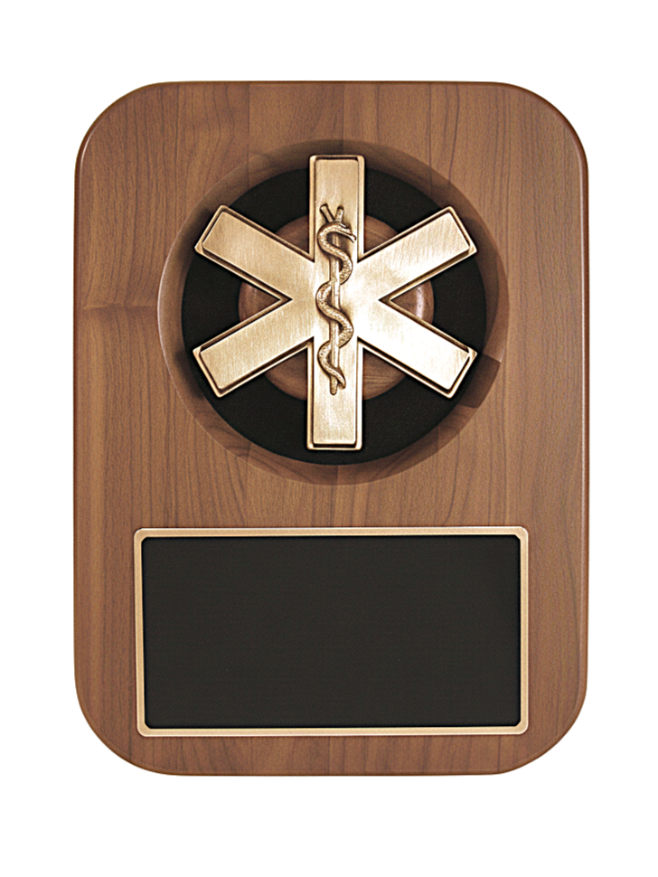 HW40 Star of Life Plaque