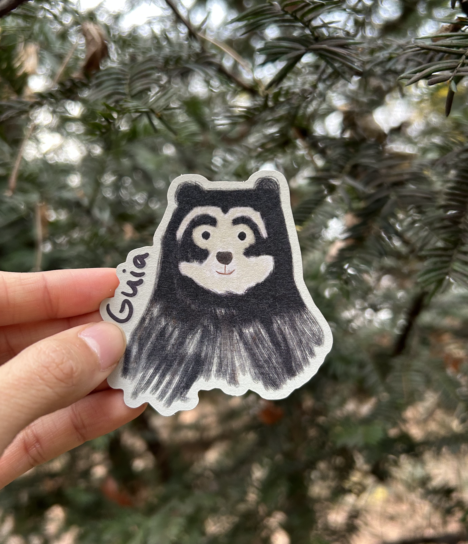 Guia (Andean Bear) Sticker