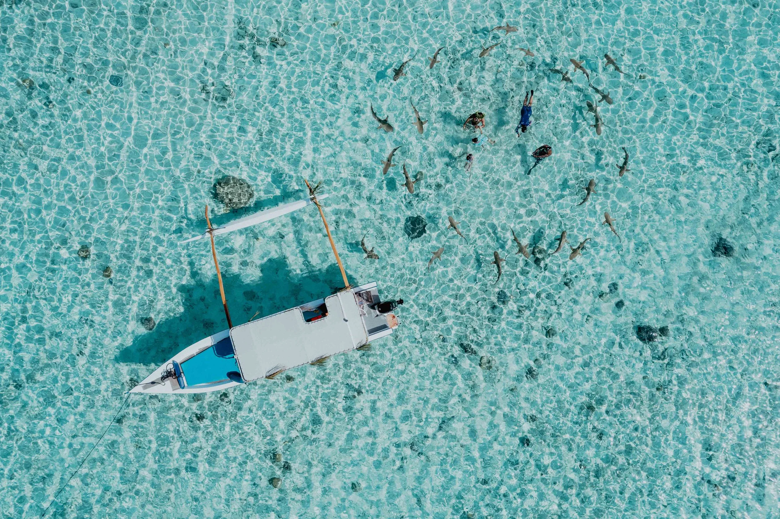 Une vue aérienne d'une plage de sable blanc avec un bateau échoué et plusieurs personnes nageant dans l'eau turquoise claire, entourées de petits poissons.