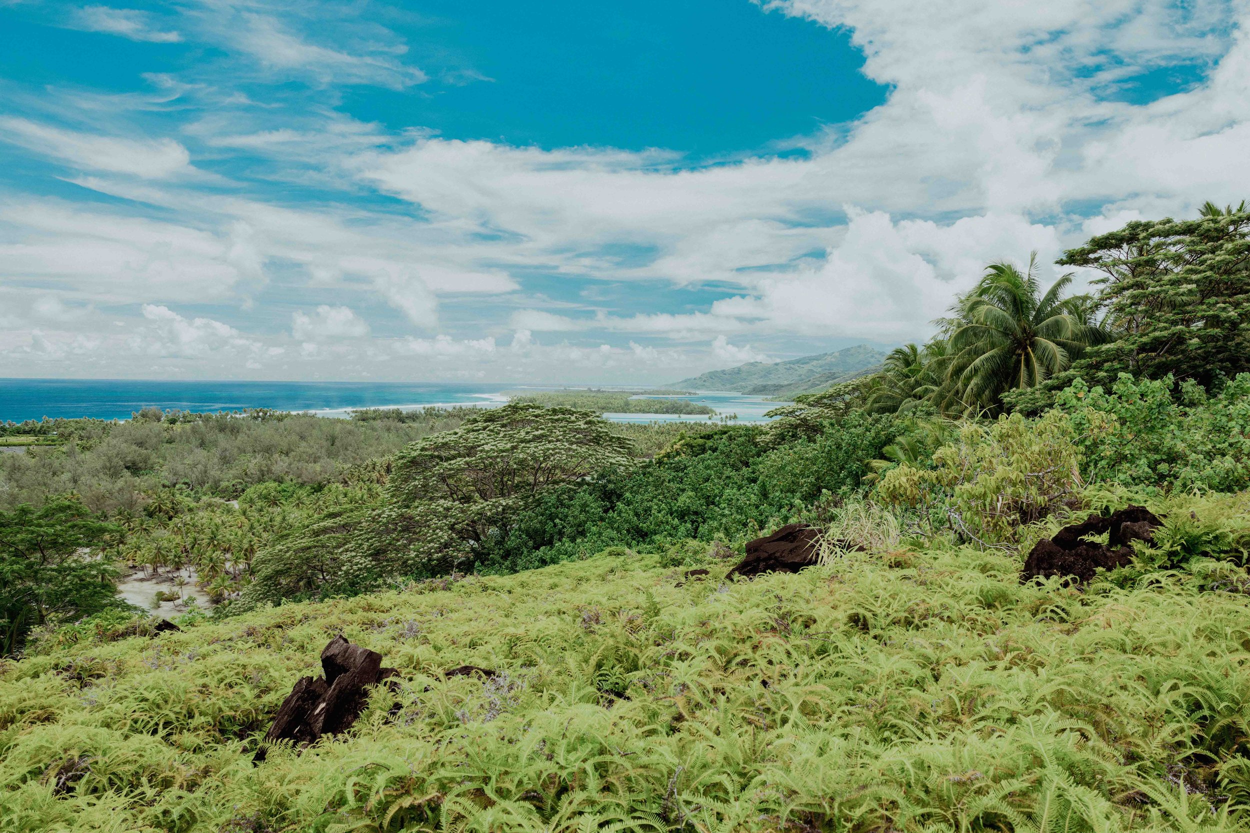 Paysage verdoyant avec des arbres tropicaux, un ciel partiellement nuageux et une vue sur l'océan au loin.