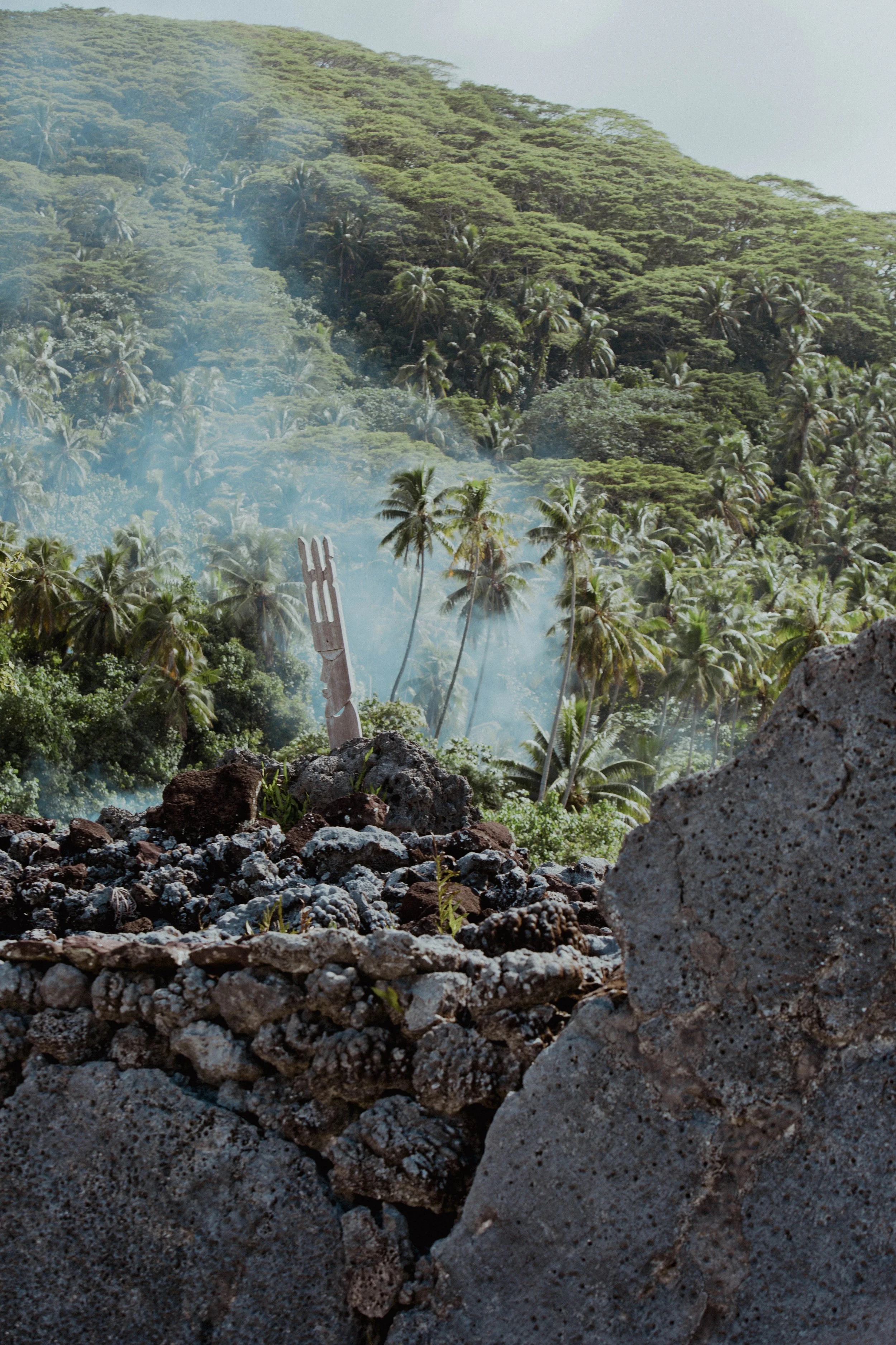 Un paysage de jungle dense avec beaucoup de palmiers et de végétation verdoyante. Au premier plan, il y a des rochers et une fourchette en bois plantée dans le sol. La scène est légèrement brumeuse avec de la fumée ou de la brume blanche dans l'air.