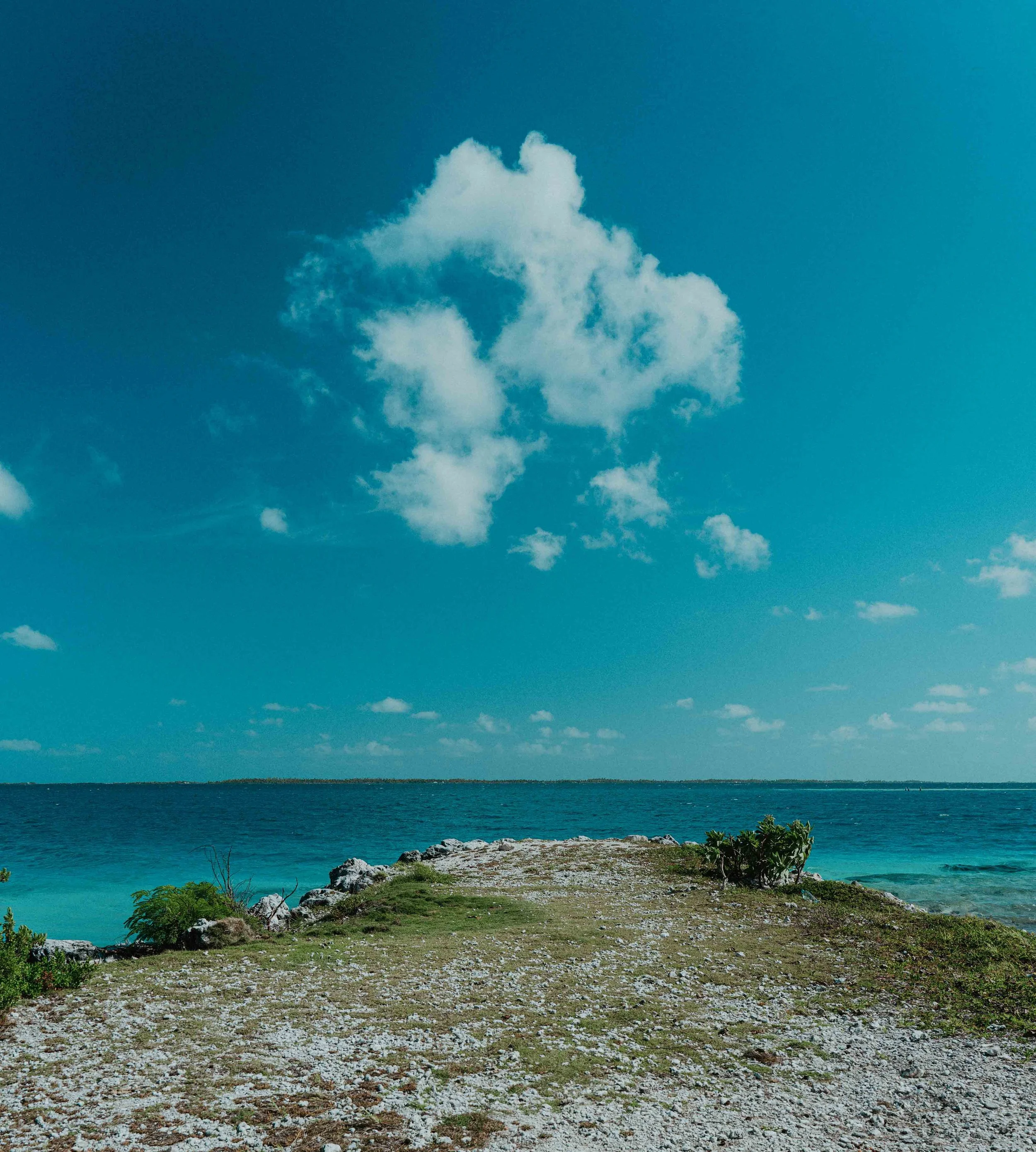 Ciel bleu avec un nuage en forme de cœur au-dessus de l'océan, vue depuis une petite île ou une péninsule rocheuse avec de la végétation au premier plan.