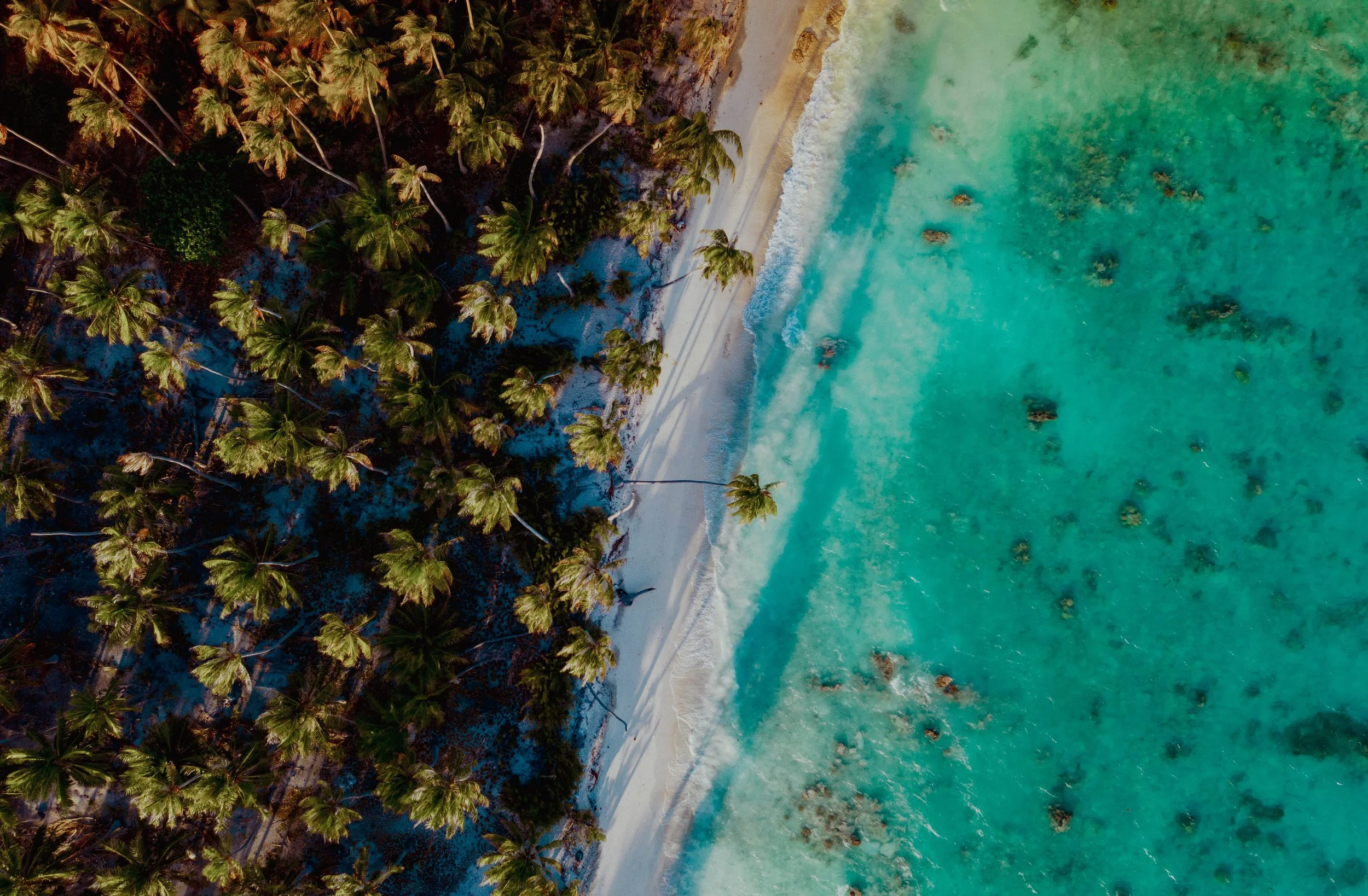 Vue aérienne d'une plage tropicale bordée d'une forêt de palmiers, avec des eaux turquoise peu profondes et quelques rochers visibles sous l'eau.