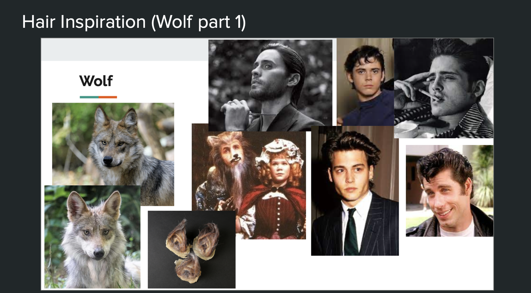 The Wolf Hair Research