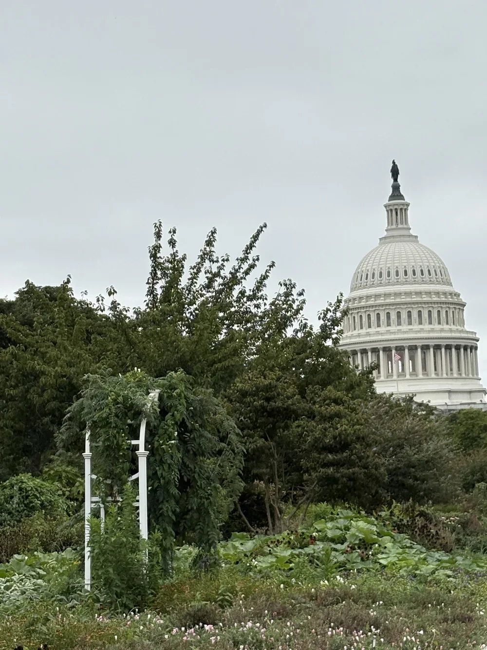 𝘜.𝘚. 𝘪𝘯 2026 …𝘙𝘦𝘢𝘥𝘺 𝘍𝘰𝘳 𝘐𝘵?